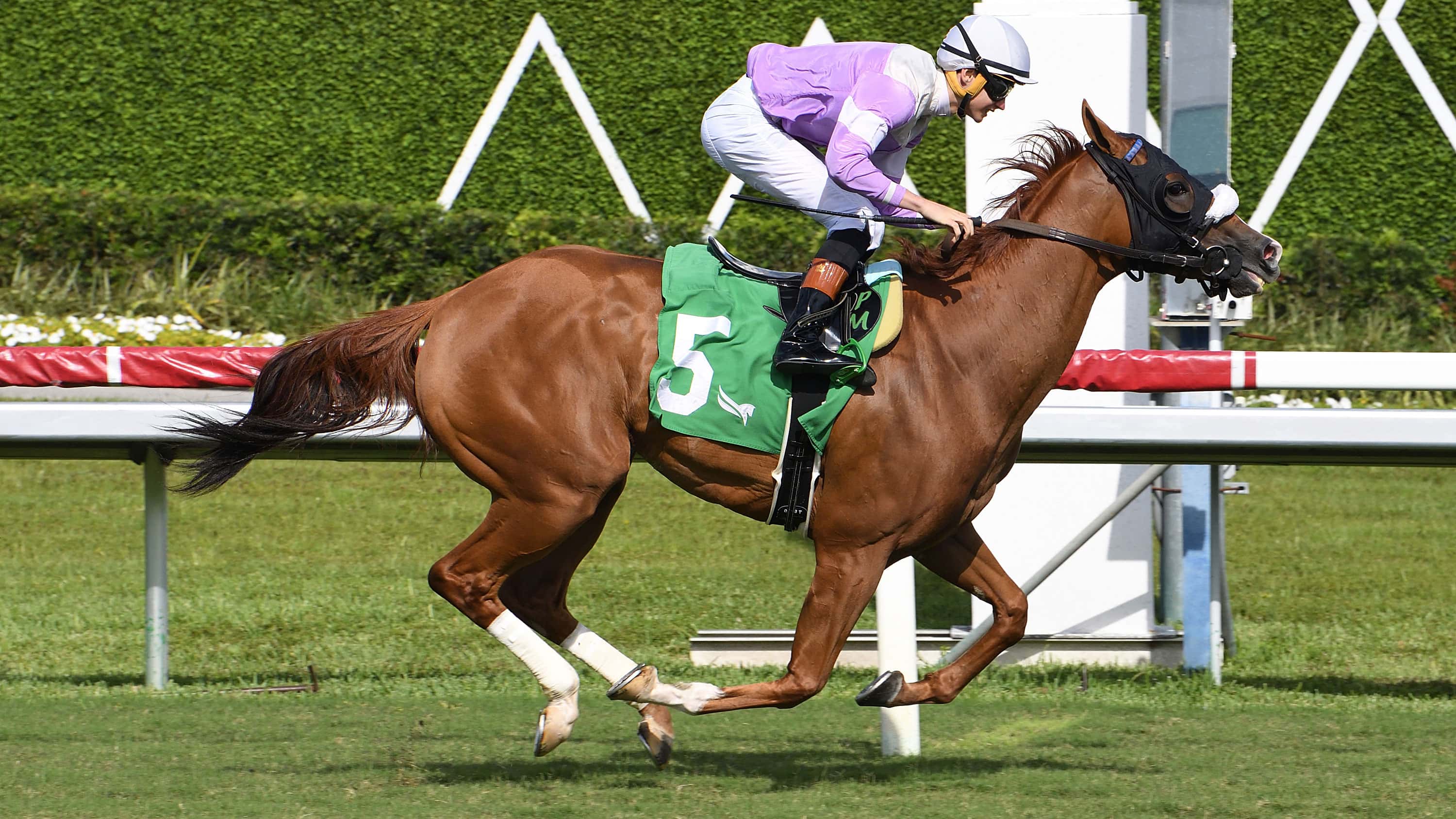 Miss-Vyvyanne-the-Golden-Beach-