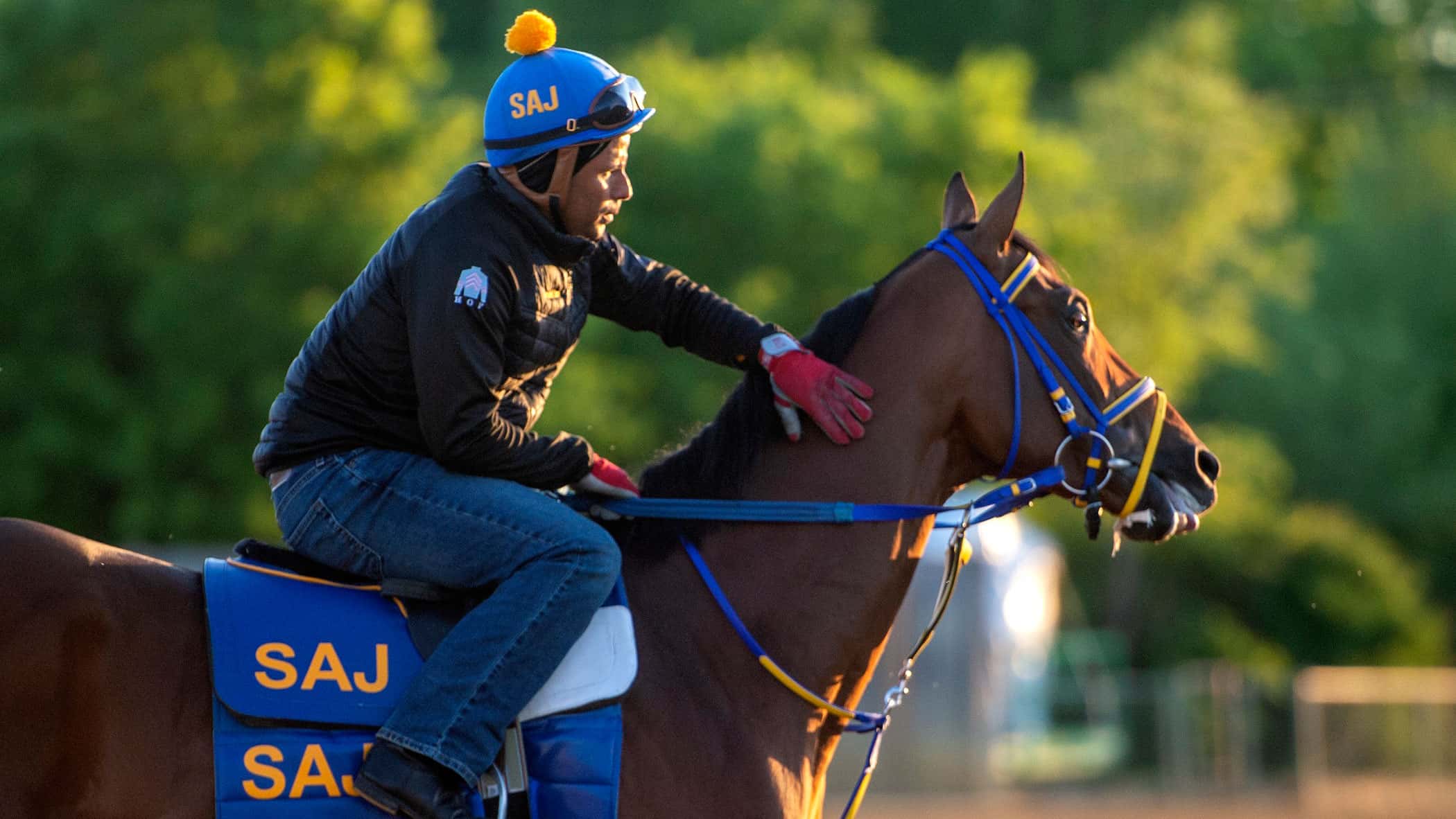 Skippylongstocking ‘Still Has More to Give’ in G3 Harlan’s Holiday