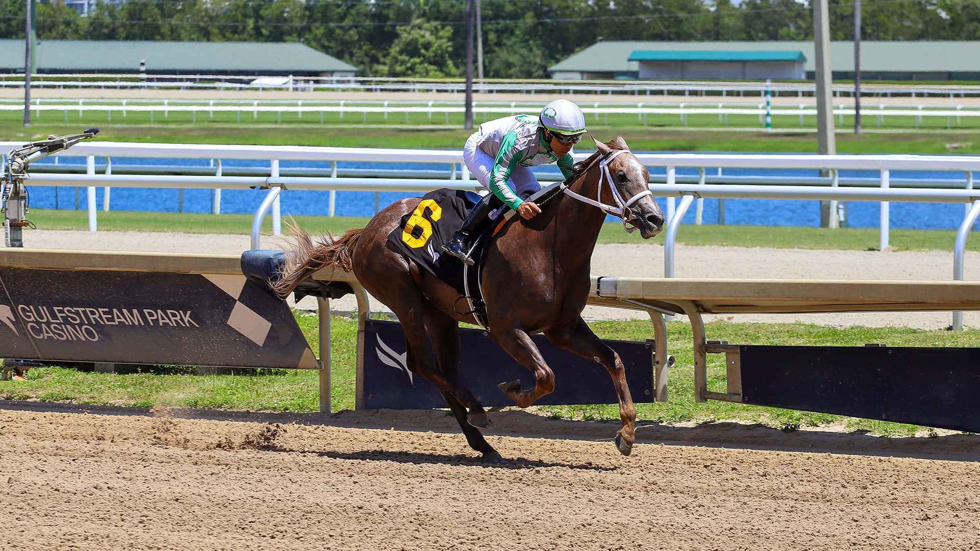 Inicia la generación dosañera en Gulfstream Park con triunfo para dupla venezolana