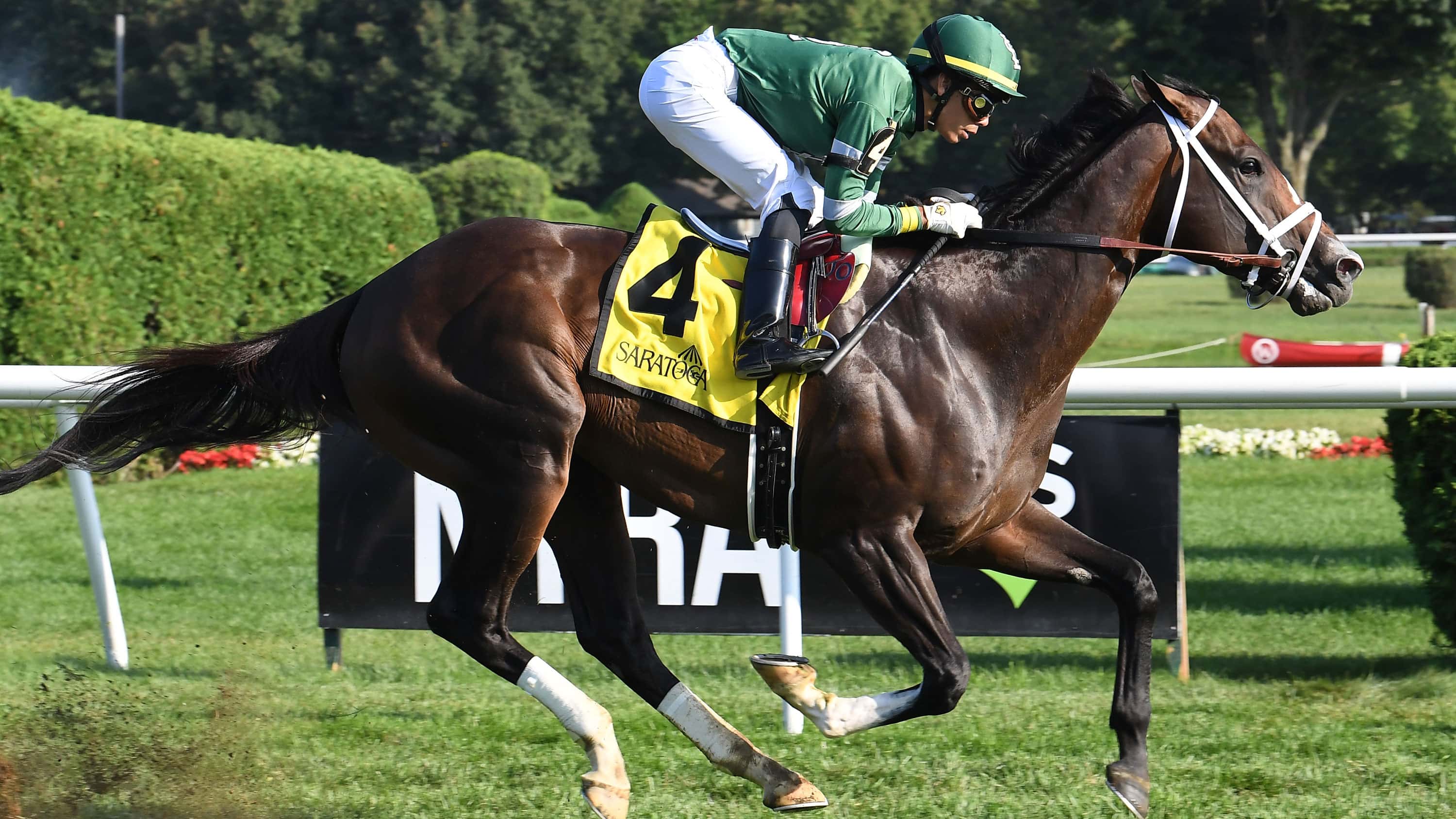 wit-the-better-talk-now