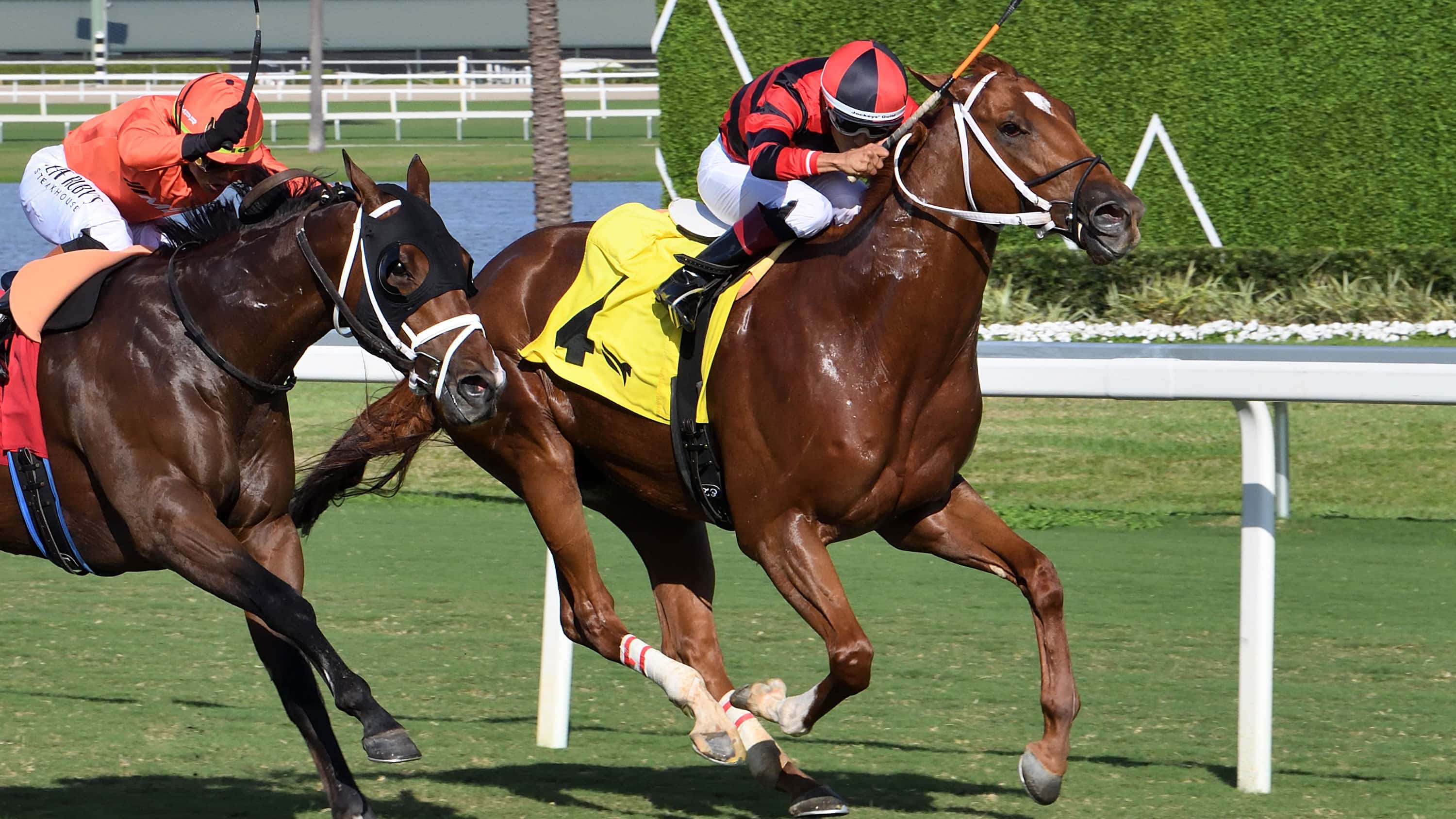 Resazrolex Registers Eighth Straight Victory Friday