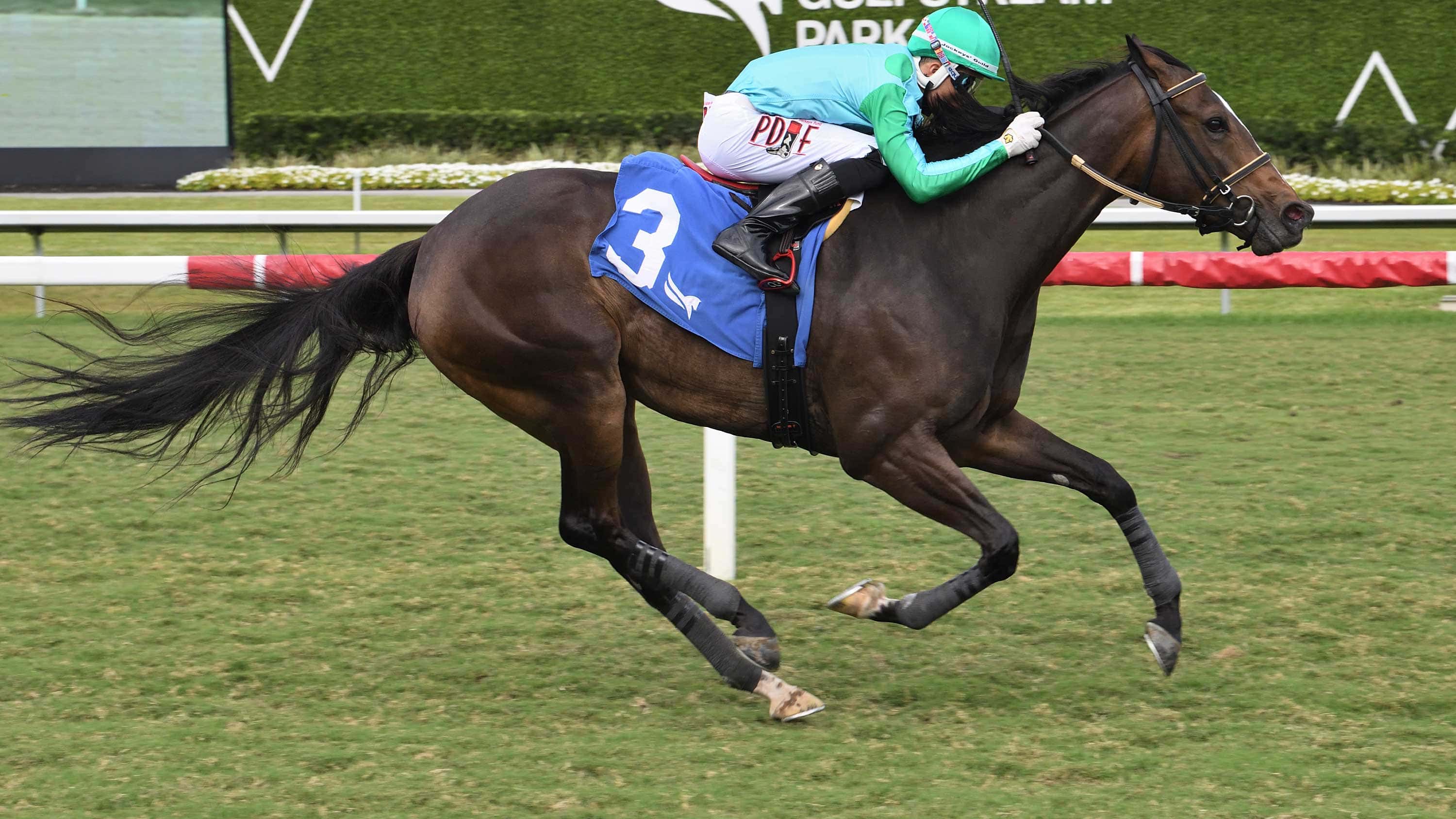 Do Gooder regresa al césped de Gulfstream para el Frolic’s Revenge