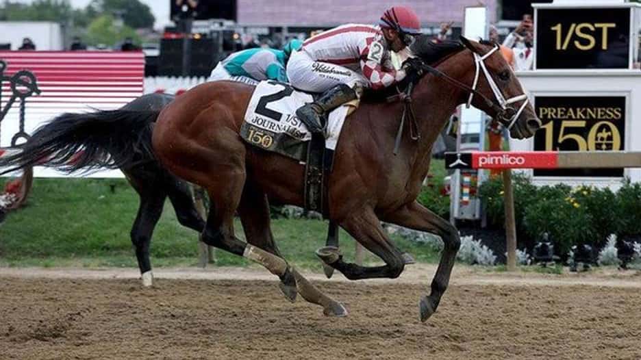 Preakness 151 Partners with Equine MediRecord and Business Infusions to Digitize Equine Welfare Protocols