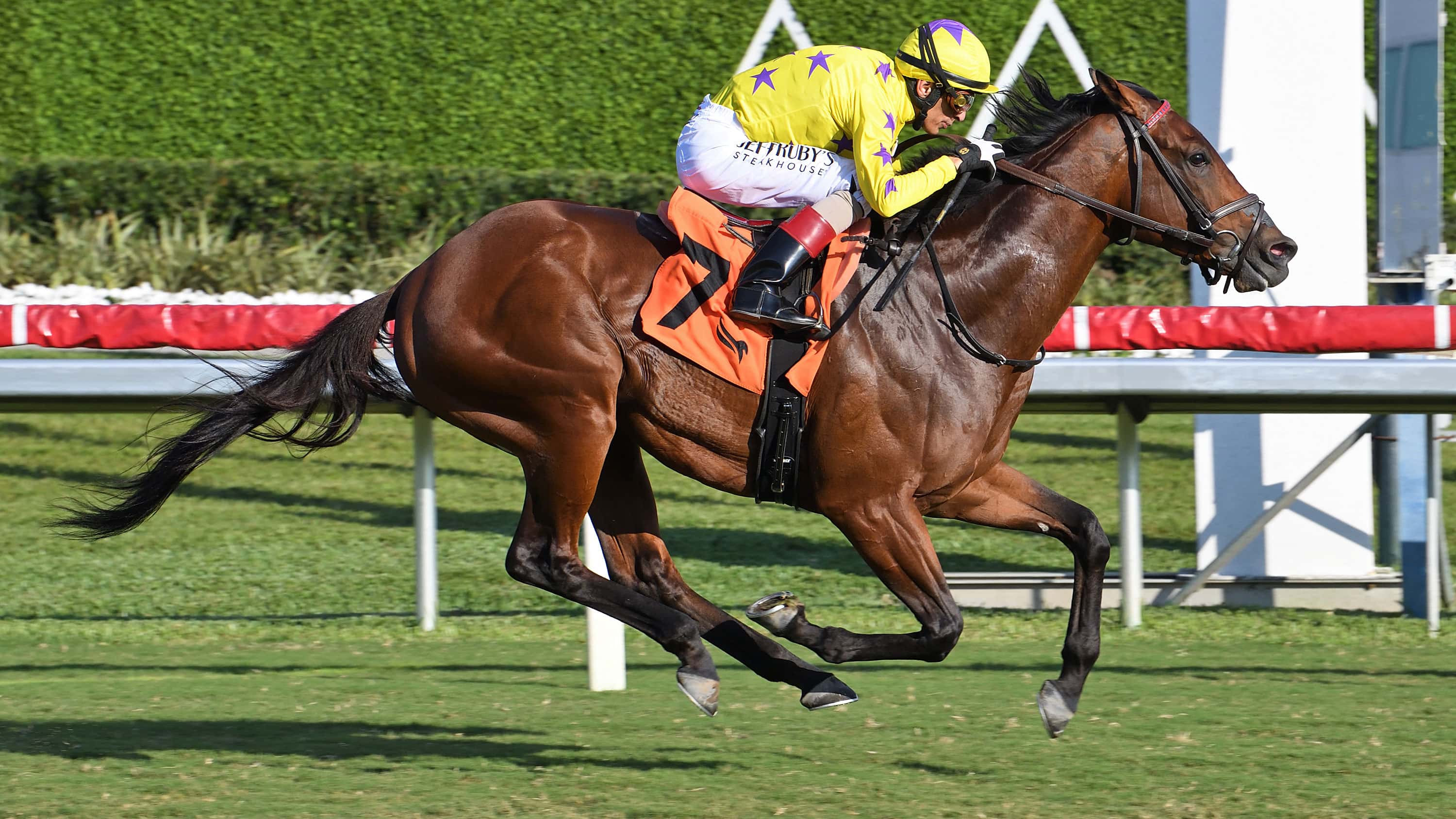 One Stripe’s Owner Hoping for TV Viewing Magic In $1 Million Pegasus World Cup Turf