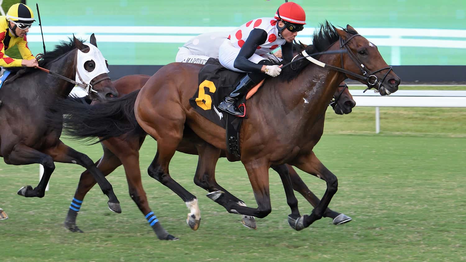 Undefeated Souper Forces to Give Best in Tropical Park Derby