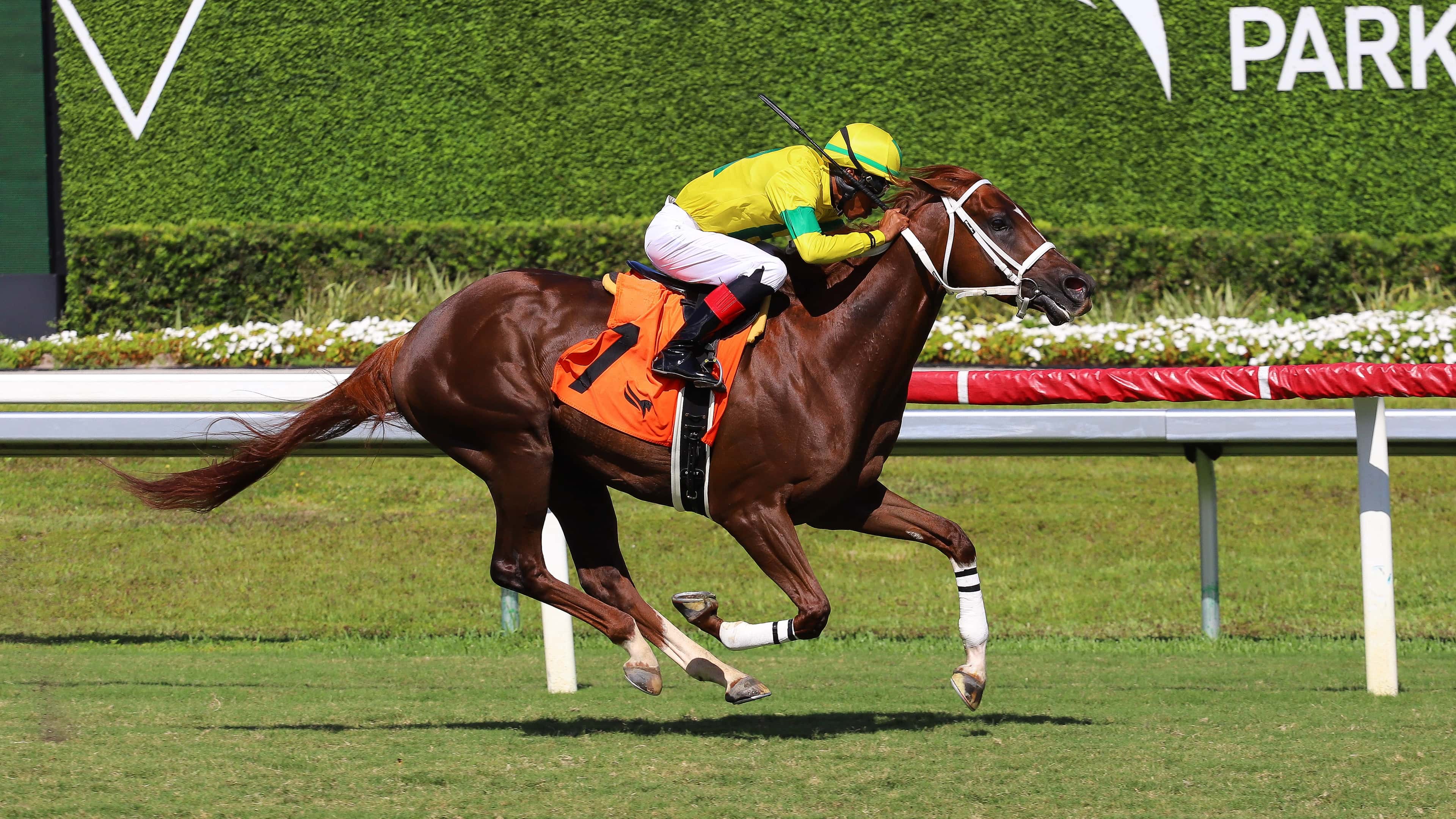 Ababajoni se impuso de punta a punta en la séptima del viernes en Gulfstream Park