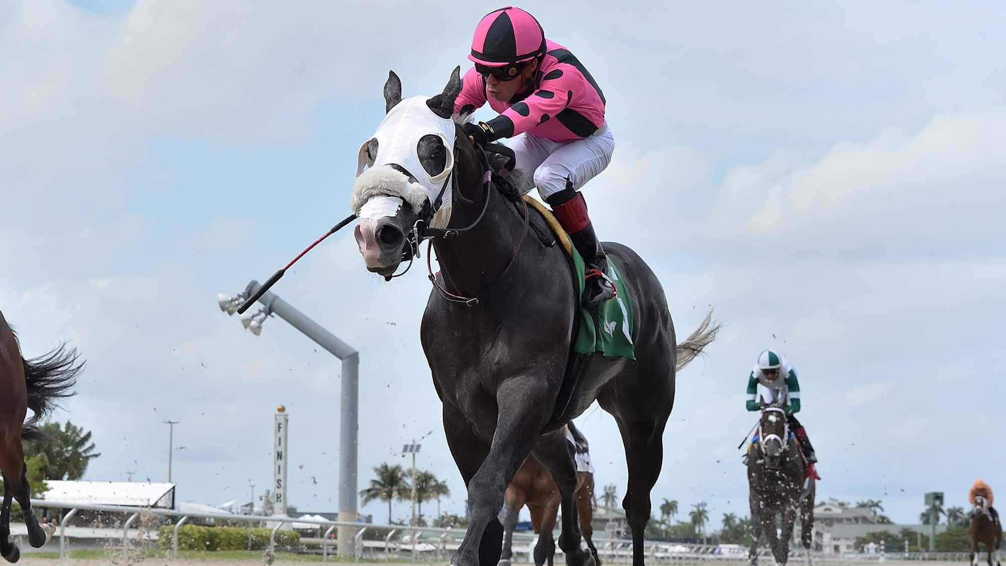 Frac-Dancer-the-Texas-Glitter