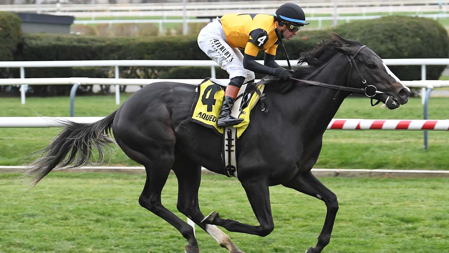 ohana-honor-the-knickerbocker