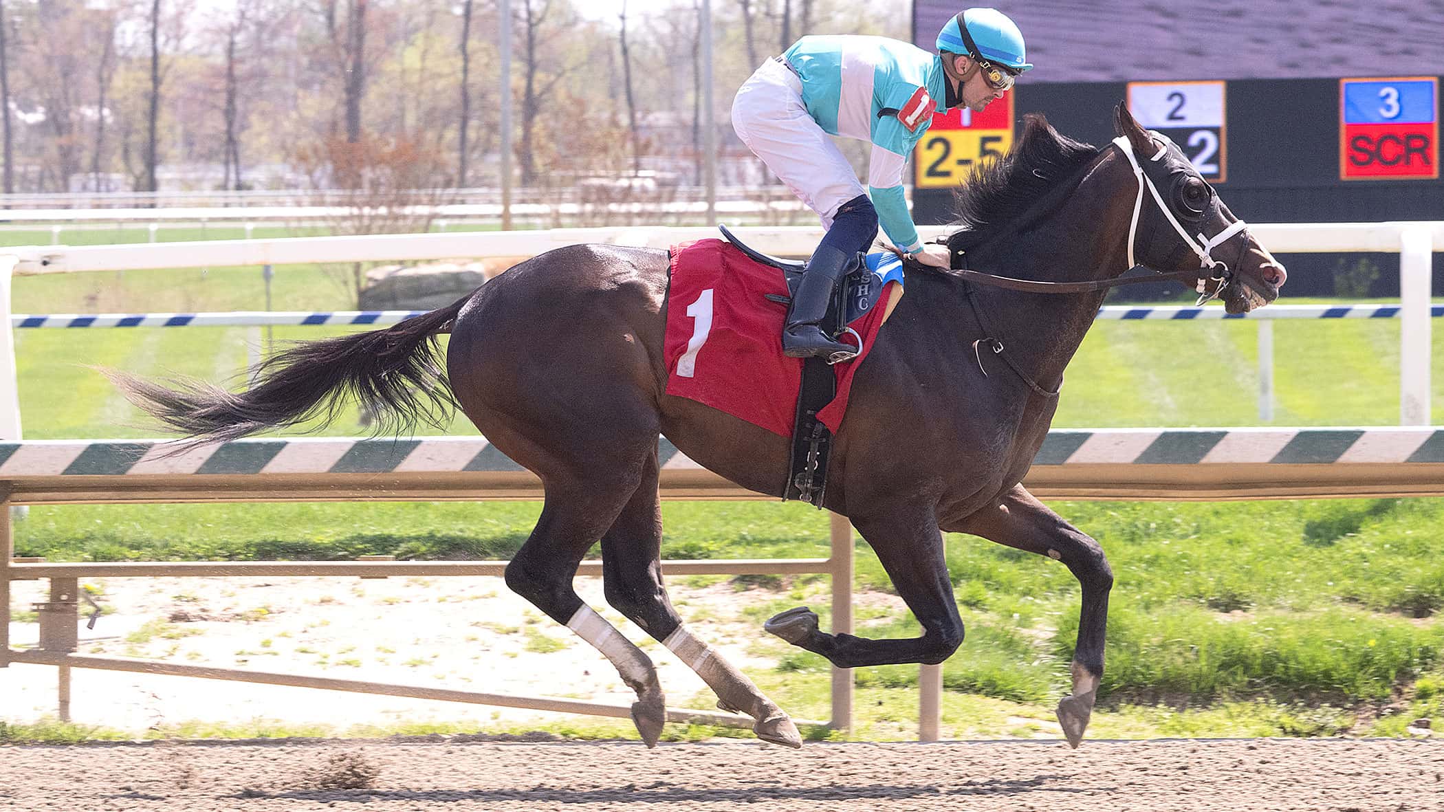 Falcon Jet Soaring into Sir Barton Off Maiden Triumph