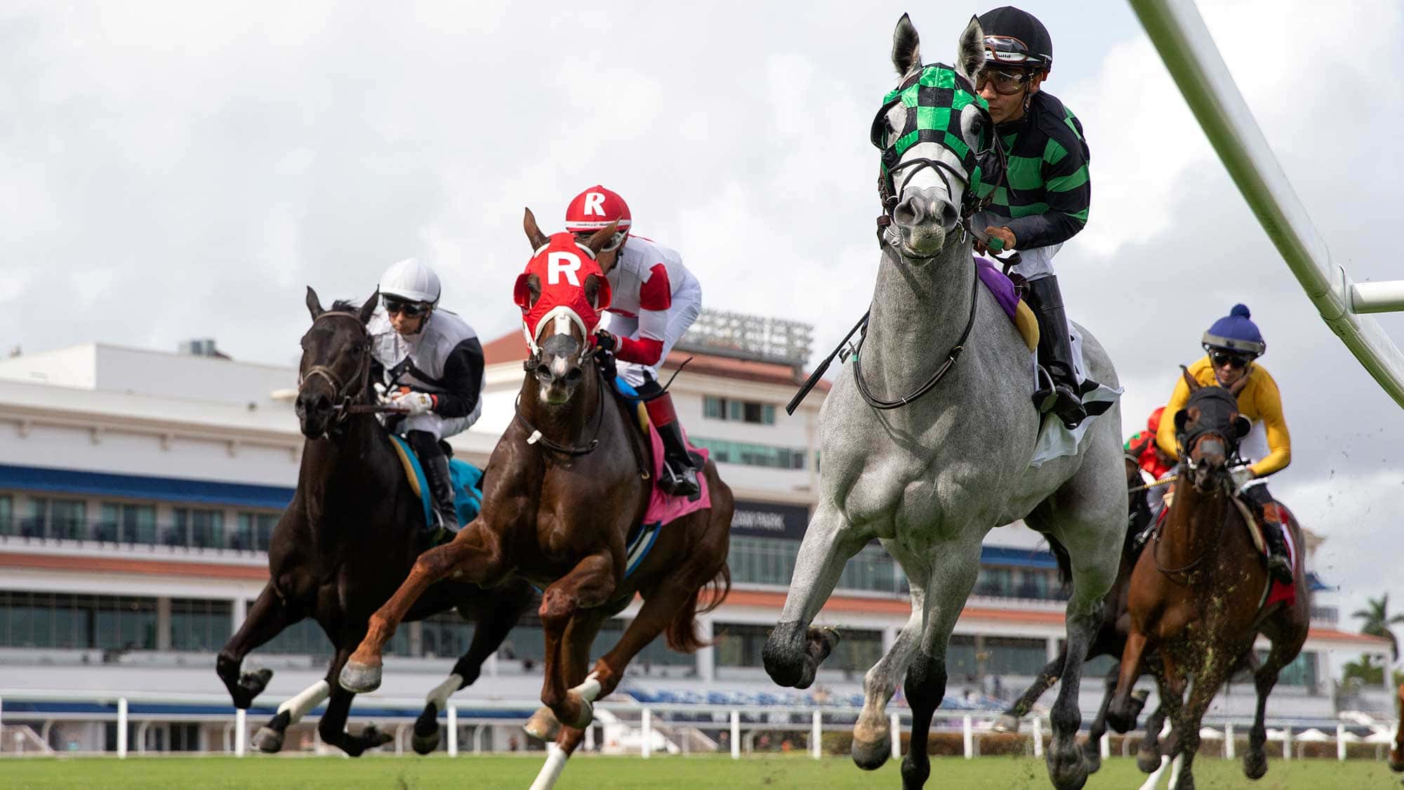 1st-turf-race-Cleopatras-Nile