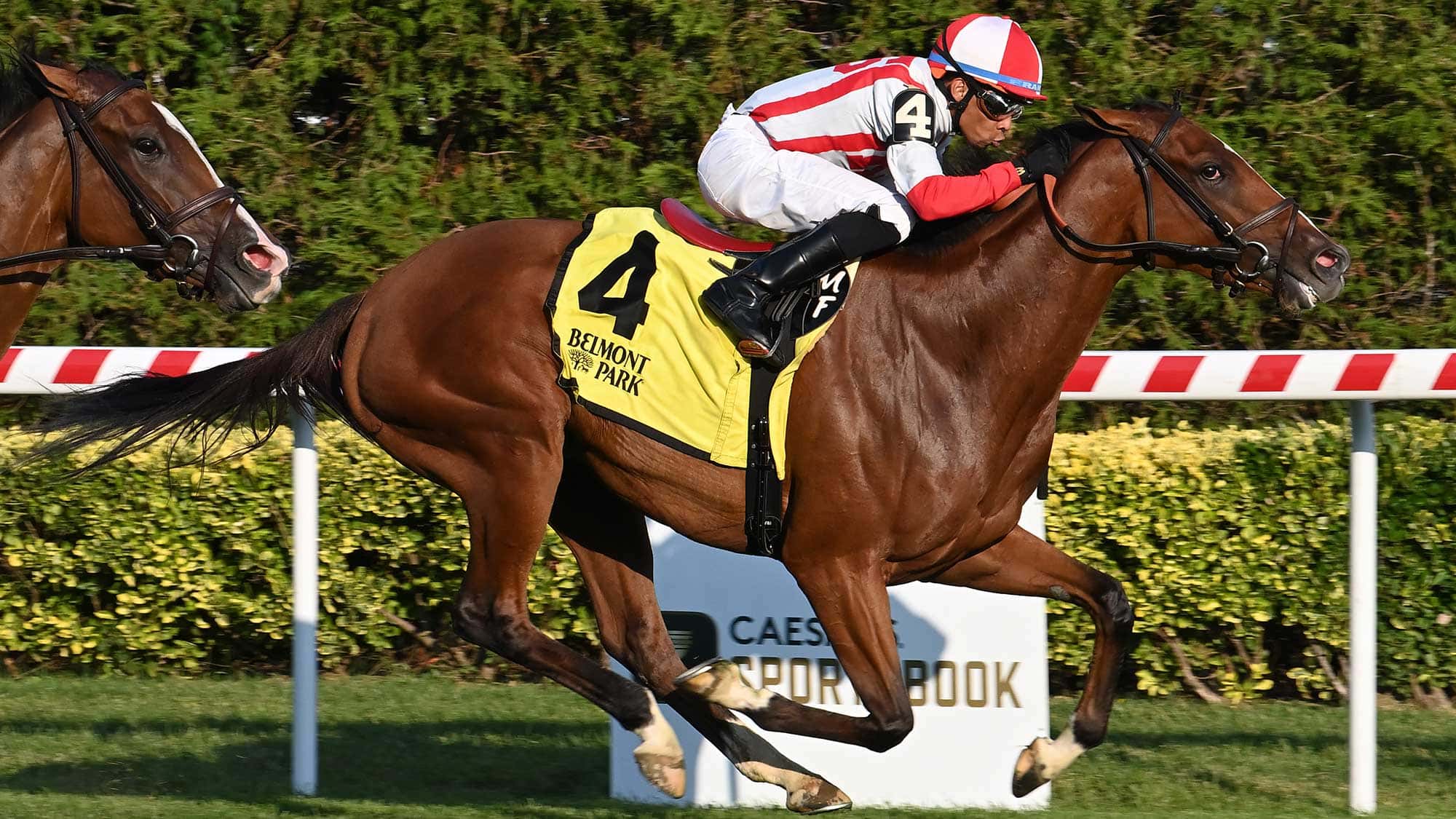 faith-in-humanity-the-pebbles