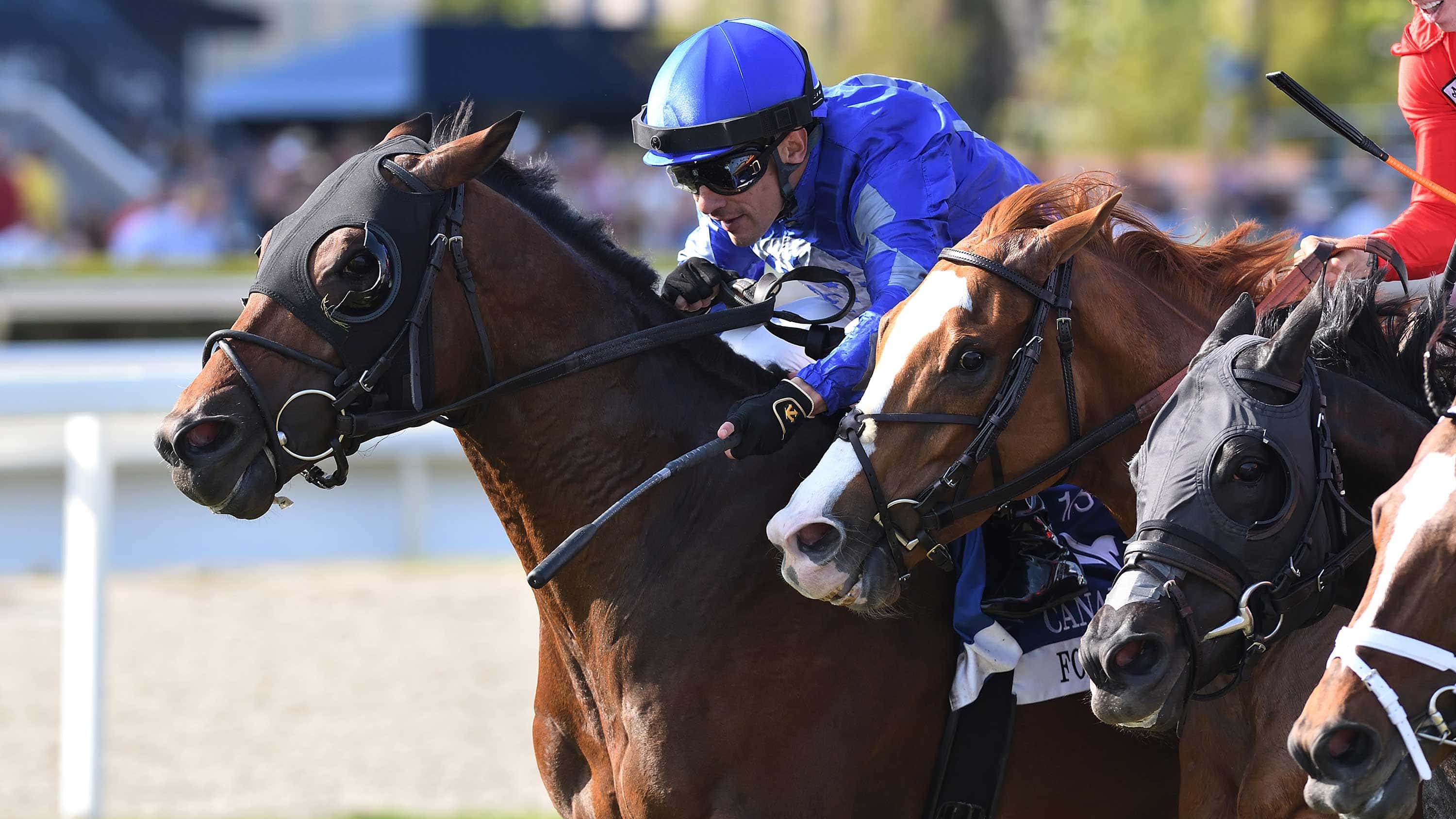 Fort Washington Gets Up in Time in Canadian Turf