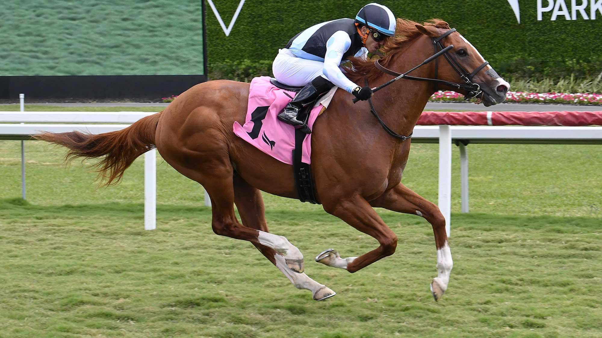 Set Remains Unbeaten Winning $125,000 Cutler Bay