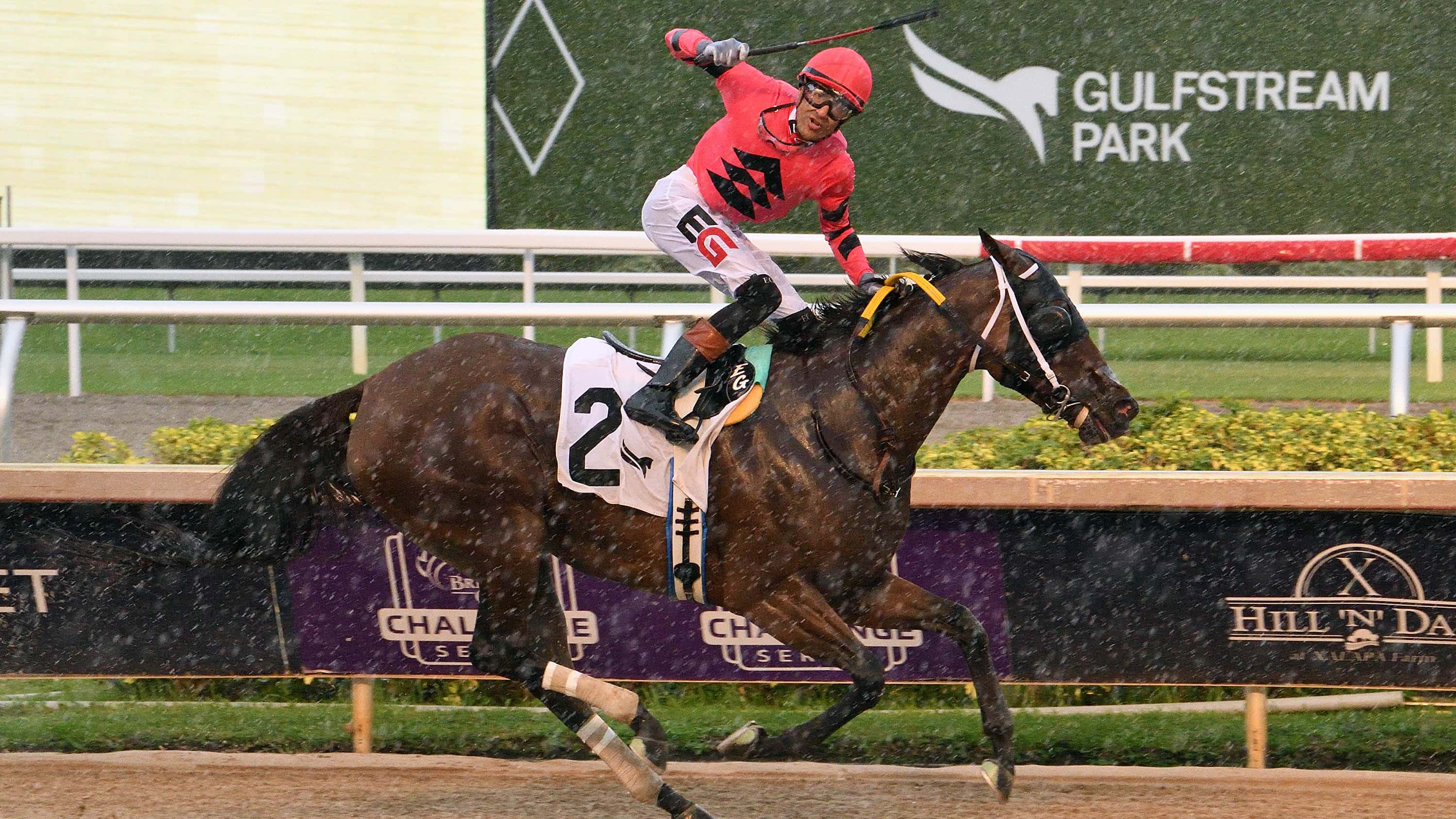 Kerry’s Kiss Upsets Simply Joking in $225,000 Princess Rooney