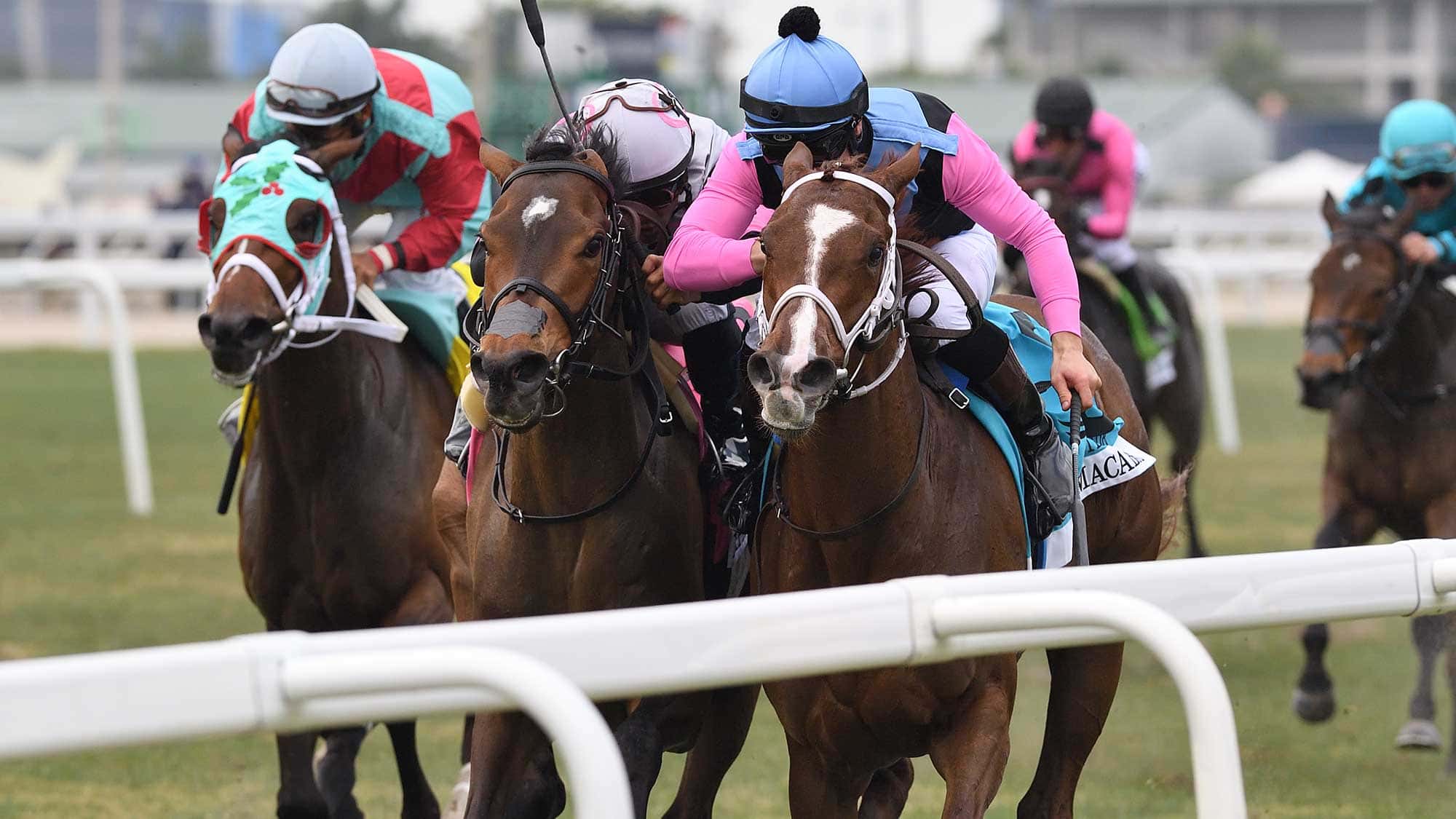 Danse-Macabre-the-Herecomesthebride