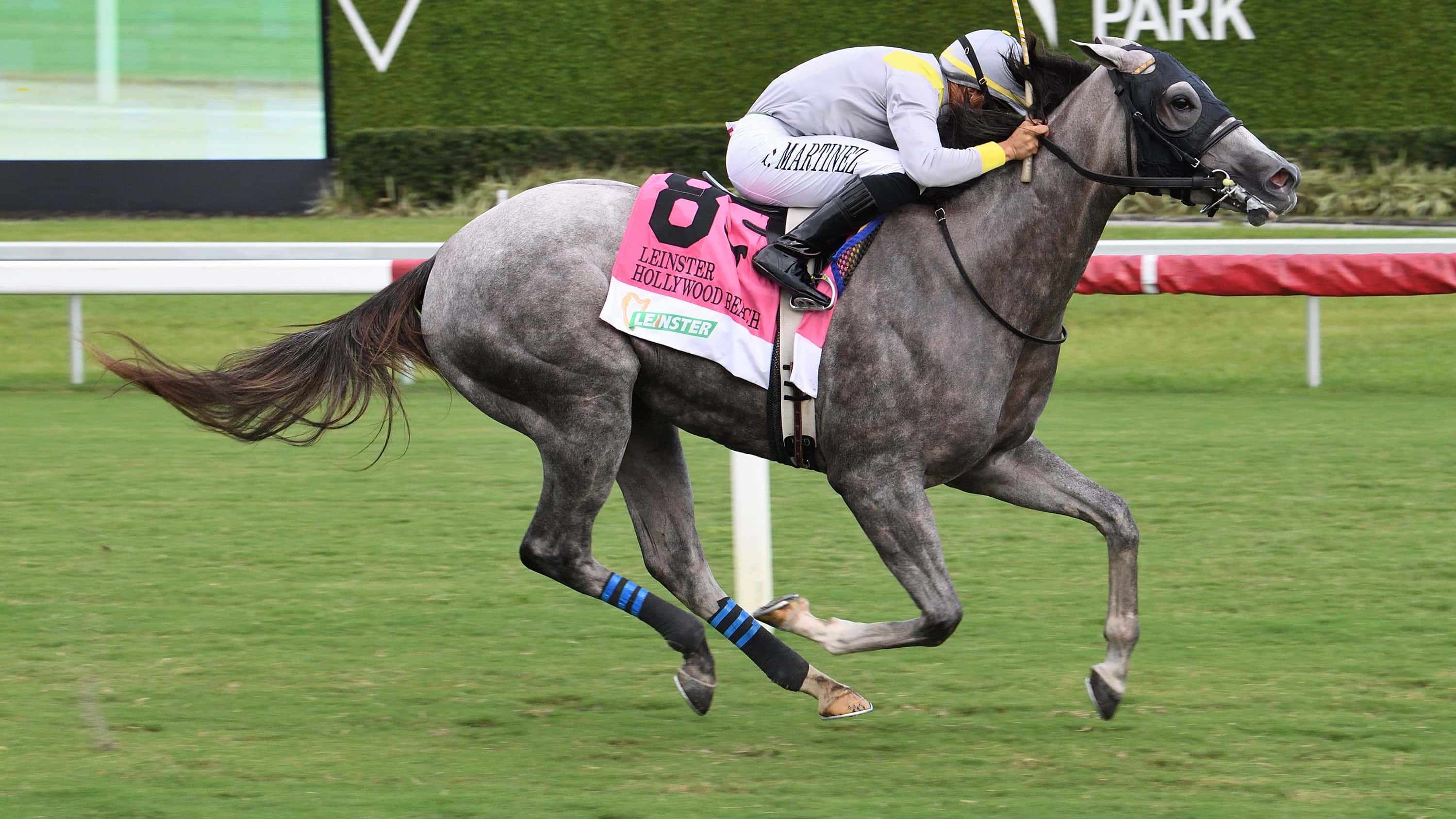 Lennilu-the-Hollywood-Beach1