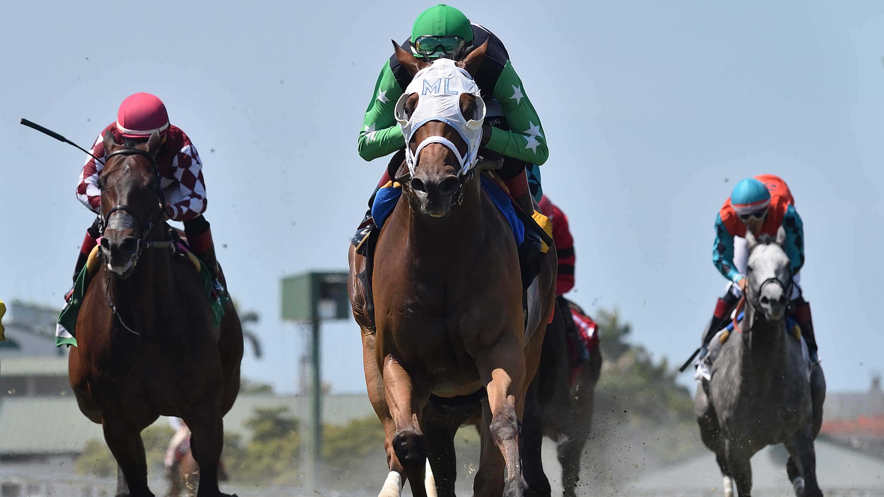 Xy-Speed-the-Pay-Any-Price