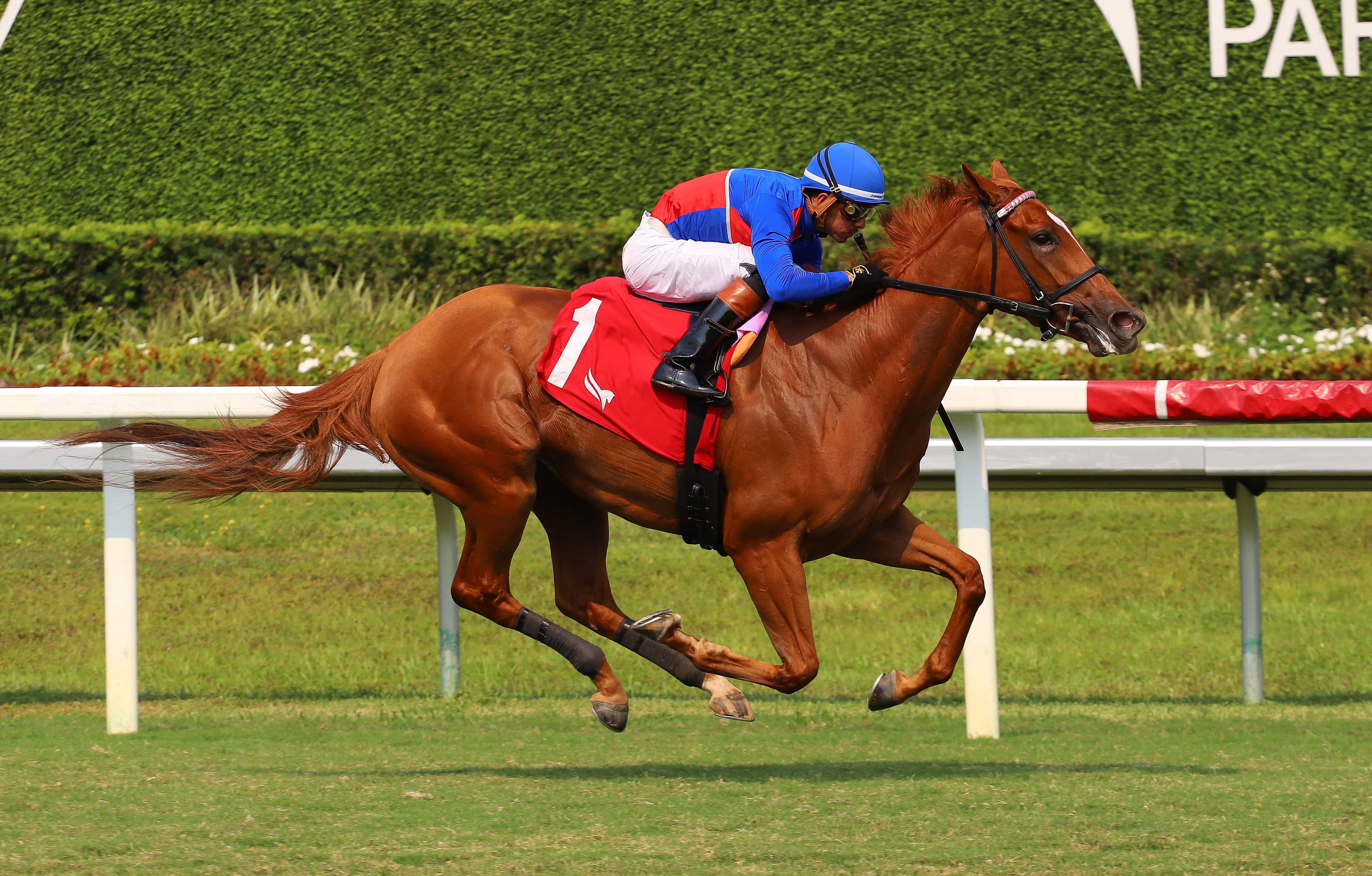Corbet’s Crush sorprendió en la séptima competencia dominical