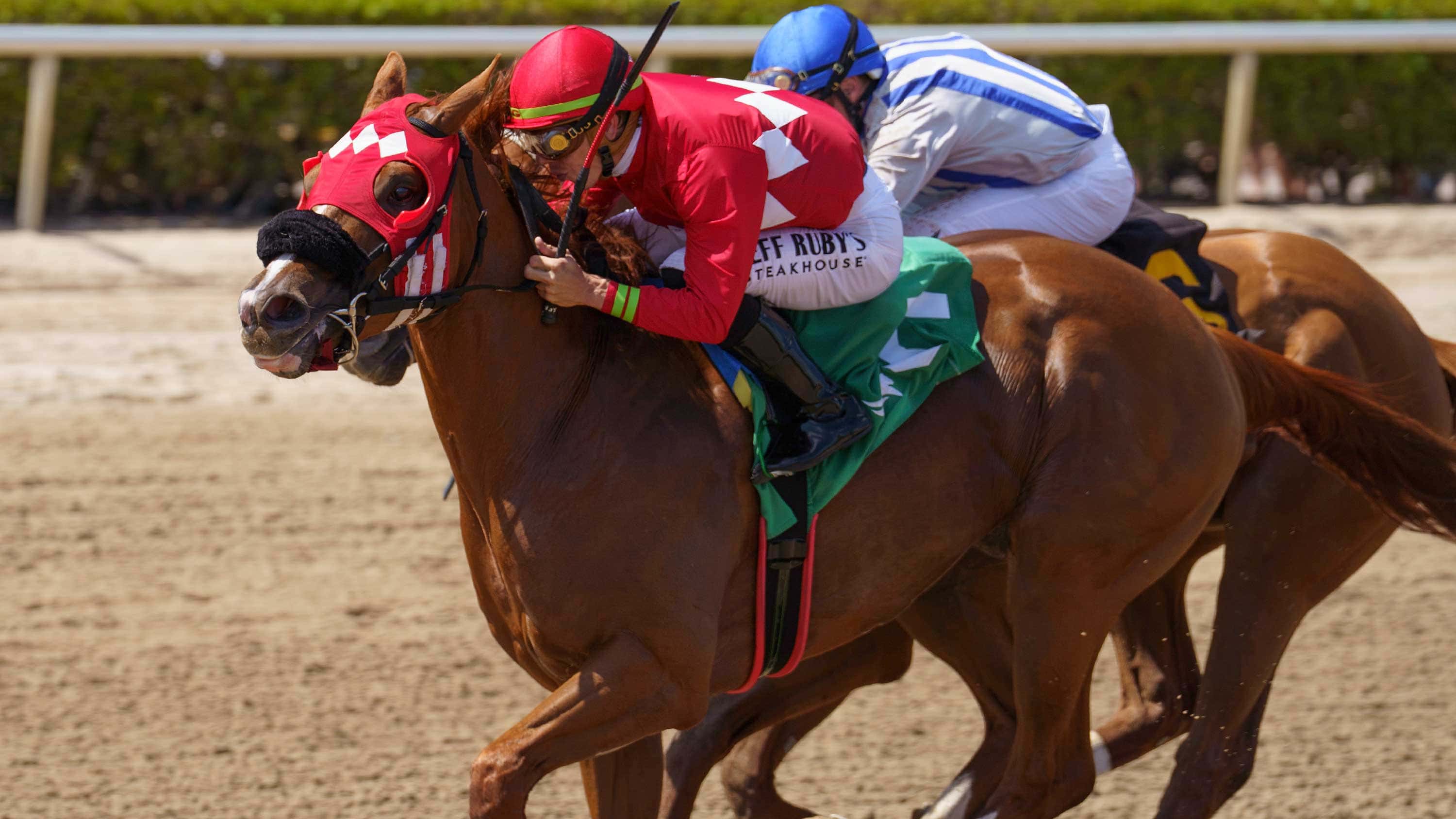 Rolando-the-Hutcheson2