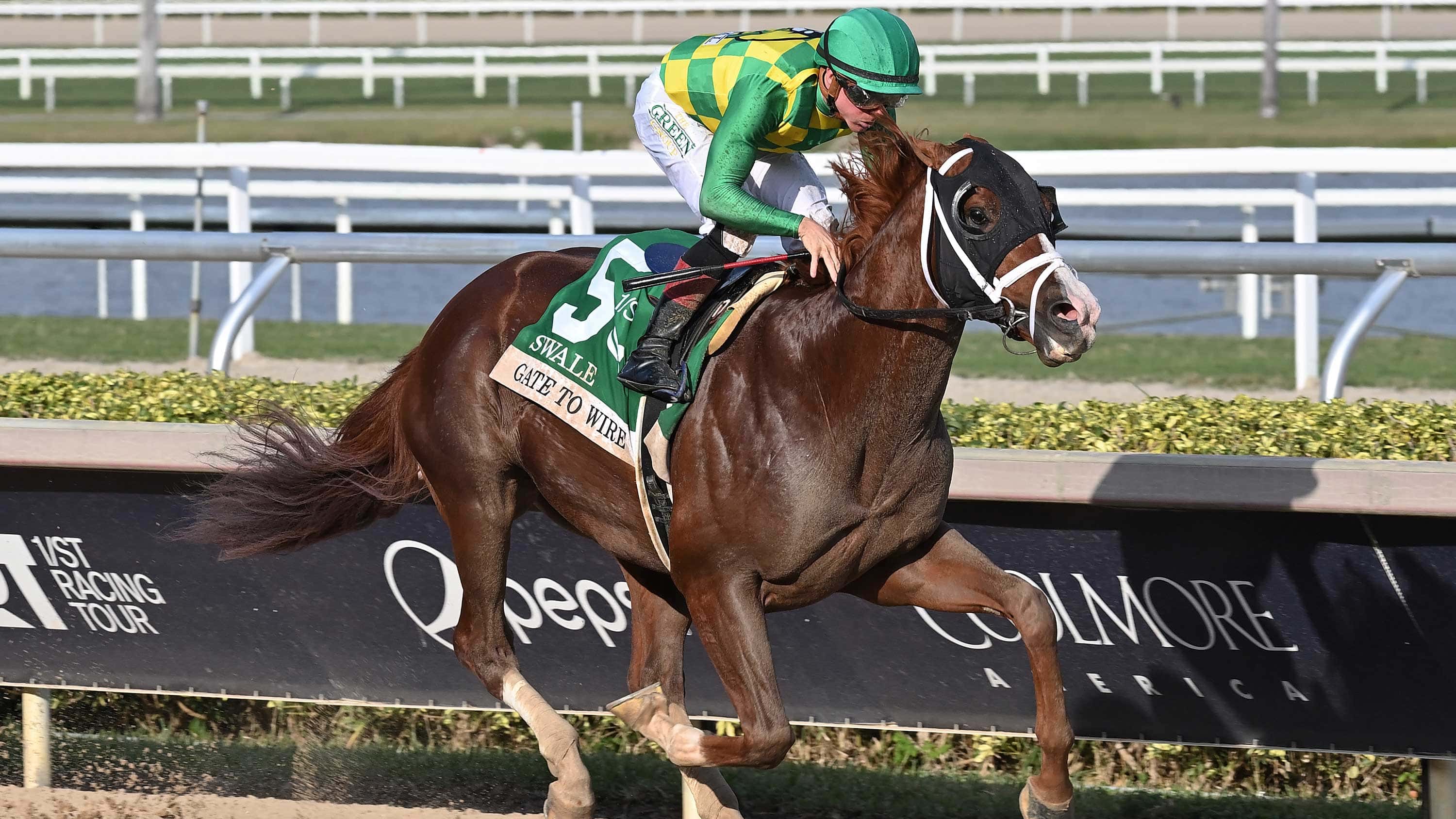 Gate-to-Wire-the-Swale