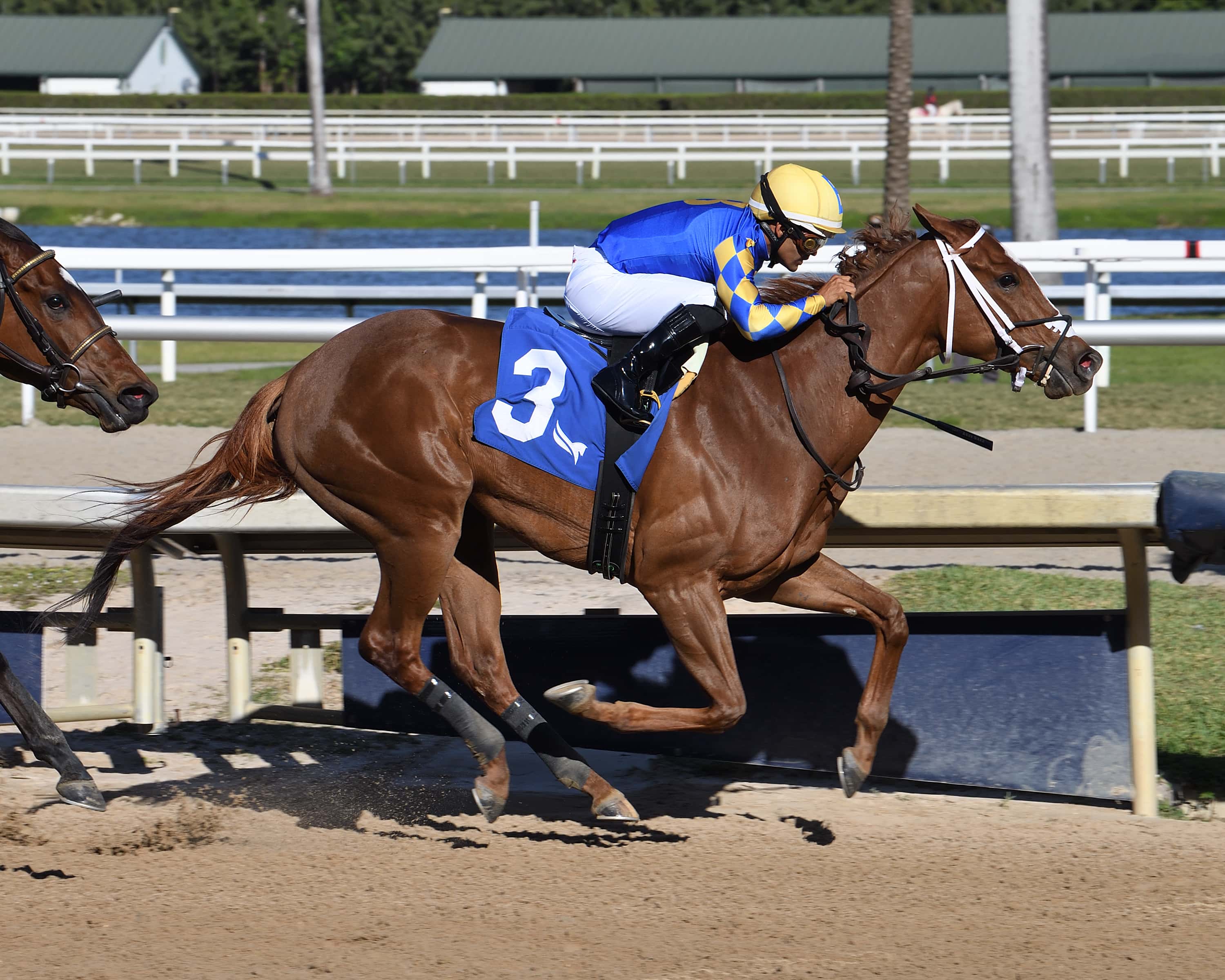 Annas Promise 3.6.25 credit Lauren King