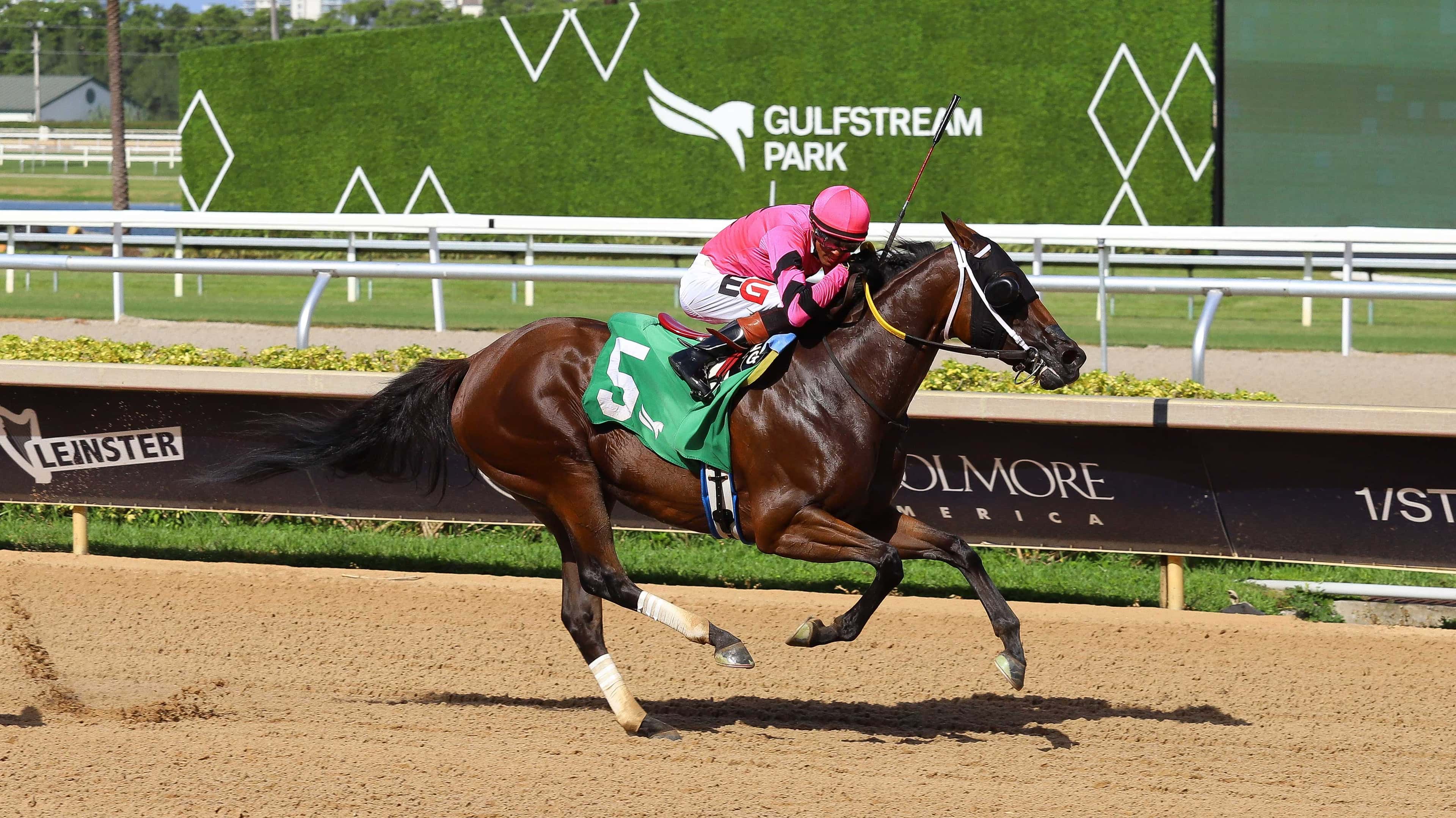 Joseph busca su cuarto Princess Rooney (G3) consecutivo este sábado en Gulfstream
