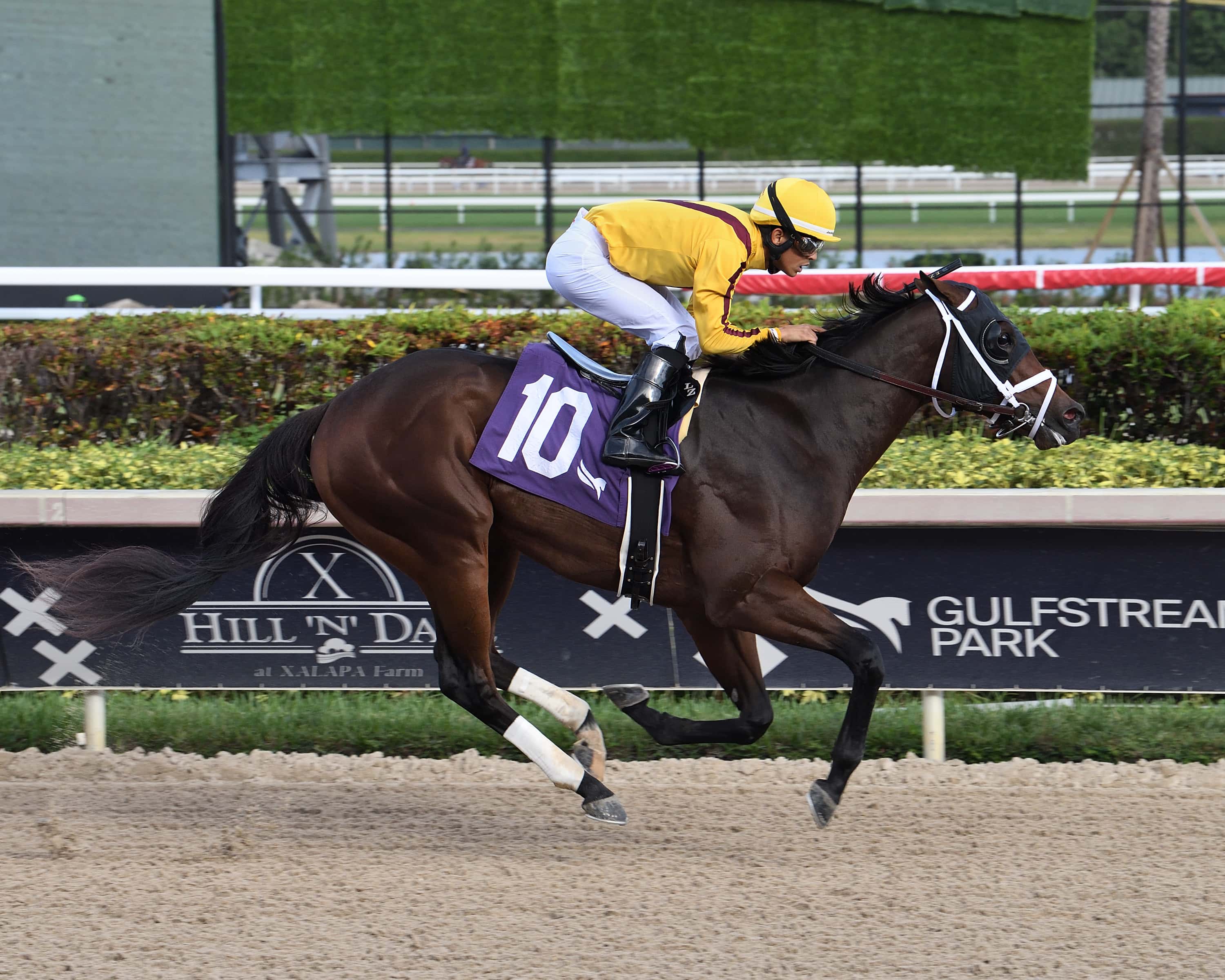 Cardinale credit Lauren King