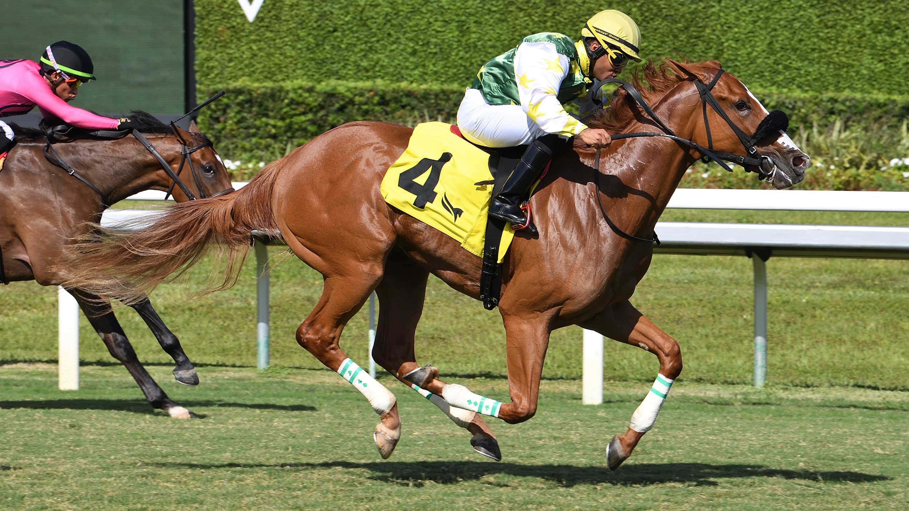 Liberty-Rings-The-Royal-Palm-Juvenile-Fillies