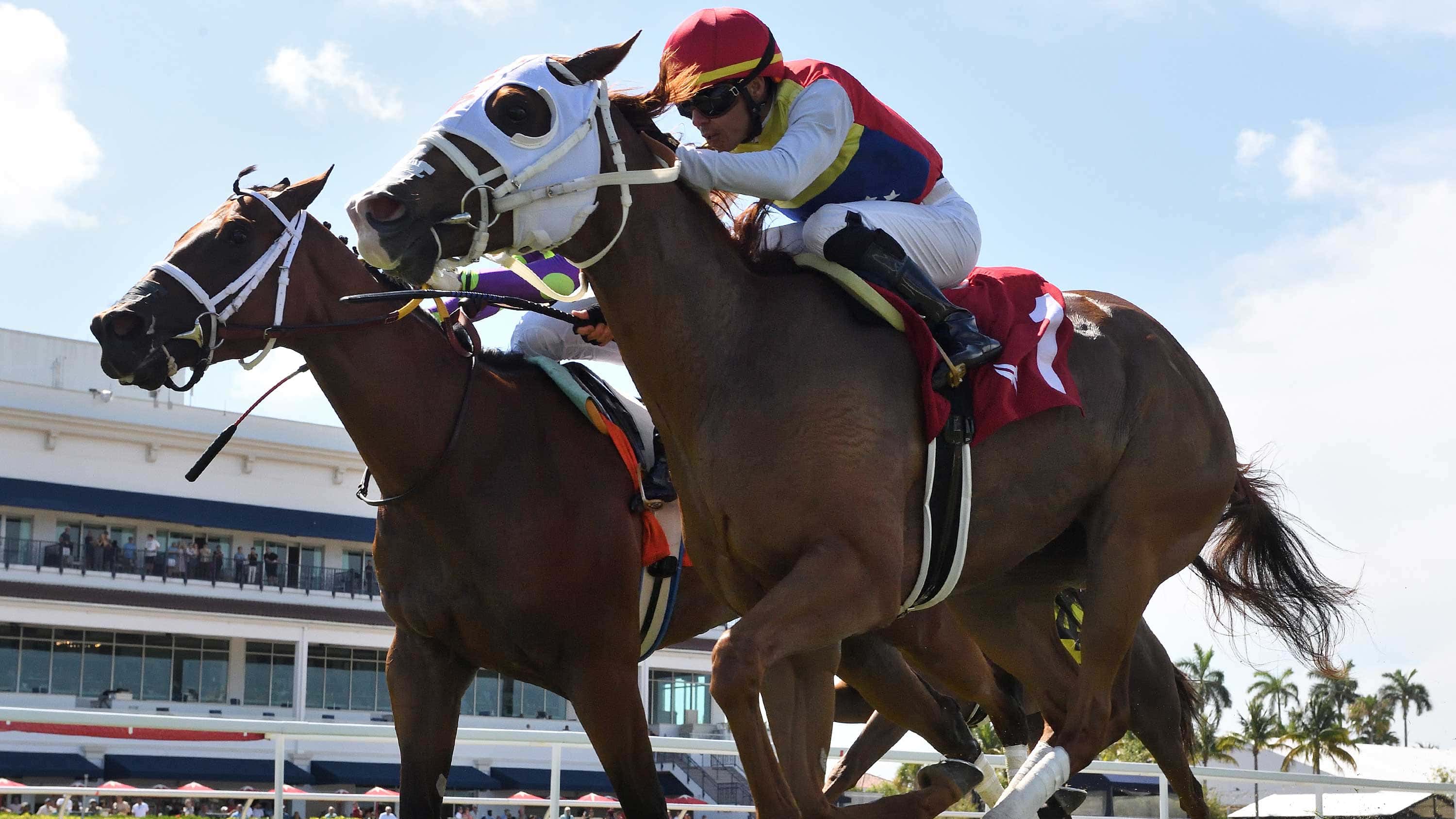 Tiffany-Gold-the-Ladys-Island