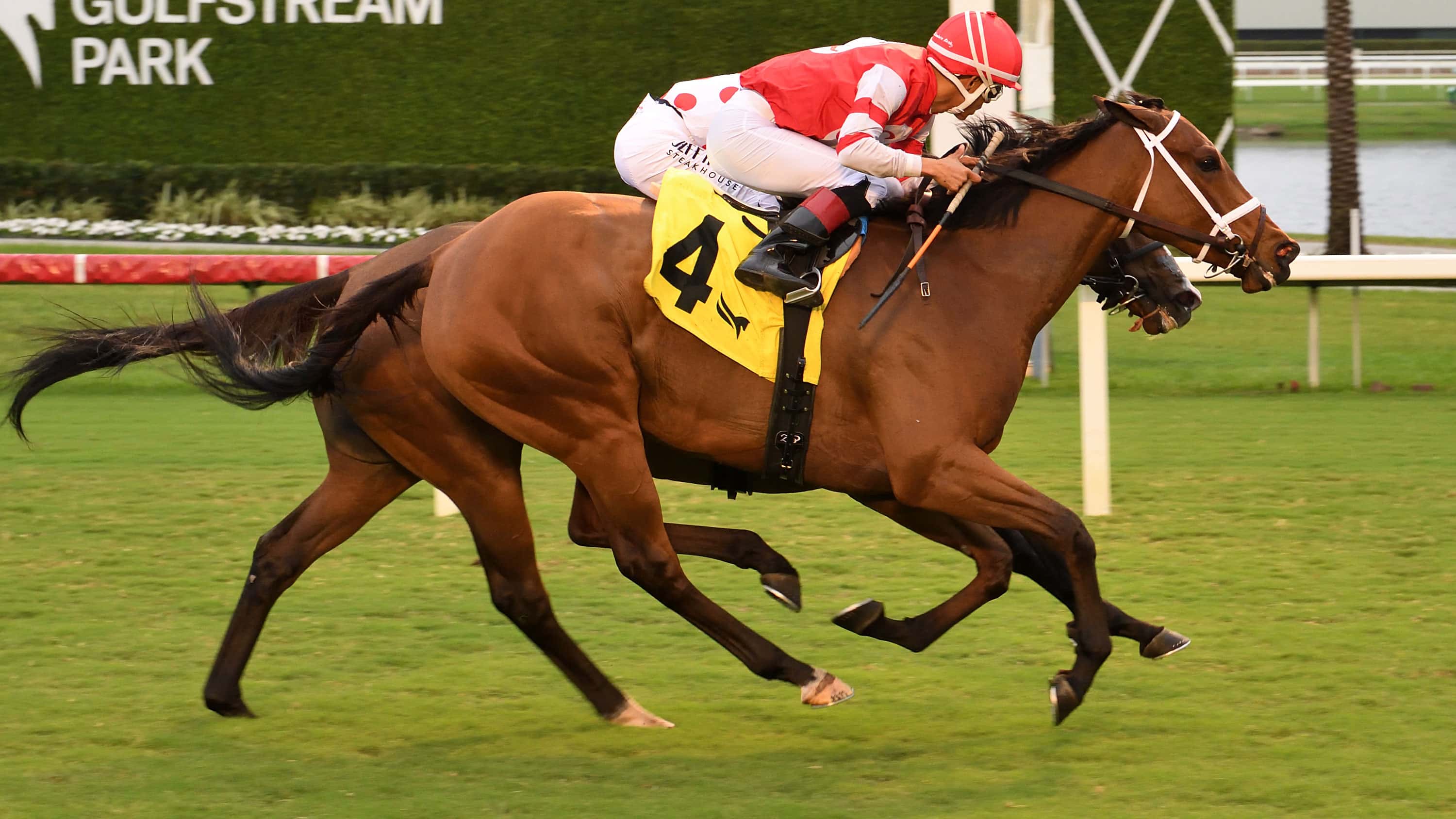 Destino d’Oro Hard-Fought Winner of Tropical Park Oaks