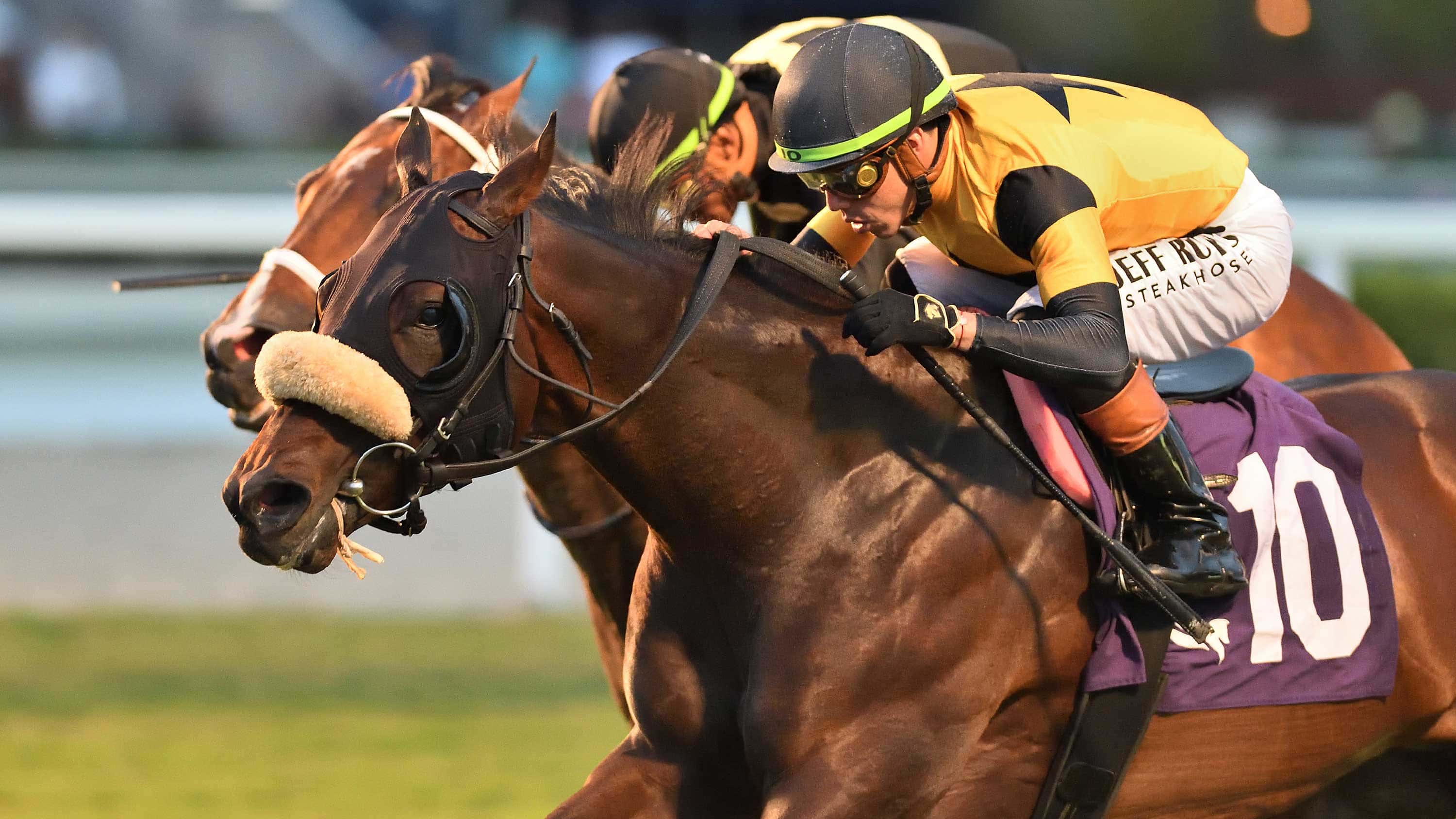 Cugino-the-Tropical-Park-Derby2