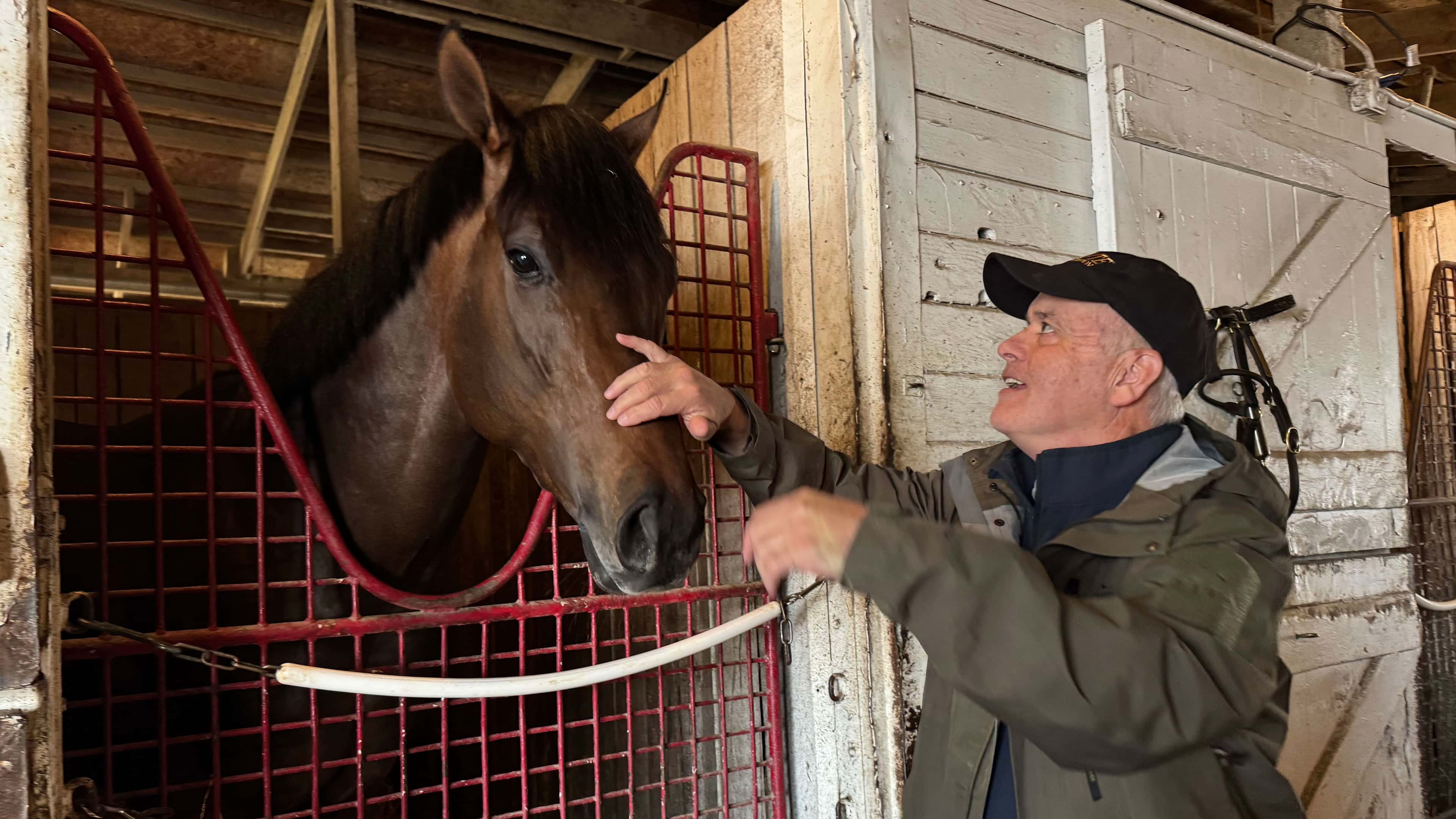 Jockey Junior Alvarado Confirmed to Ride Crupper in Preakness