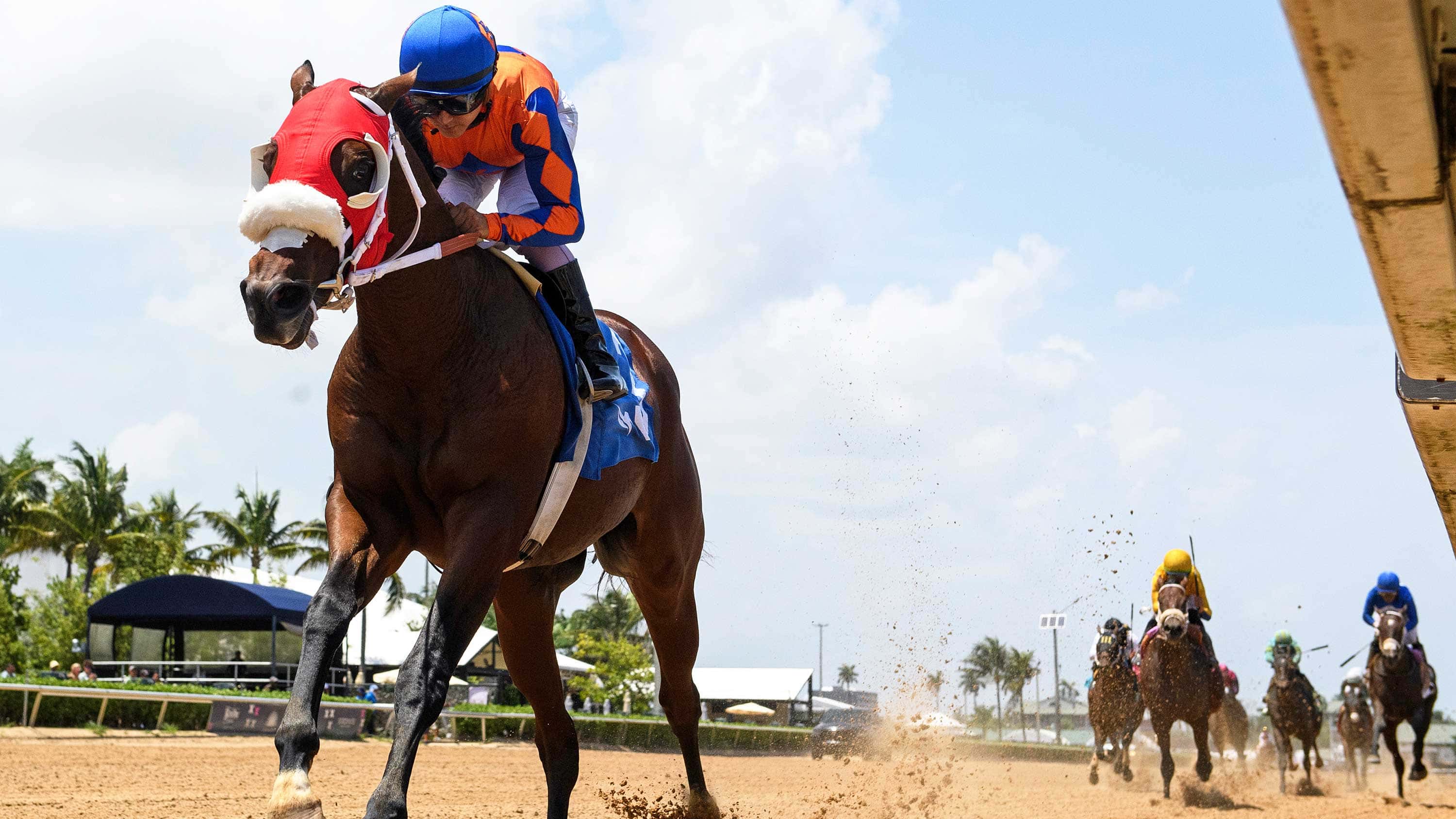 Undefeated Sum of Success Tops $150,000 FHBPA Express Tour