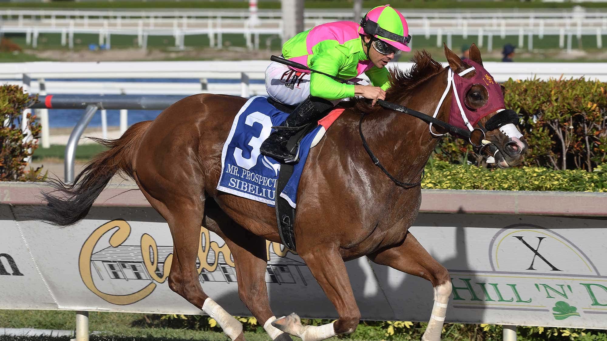 Sibelius-the-Mr-Prospector