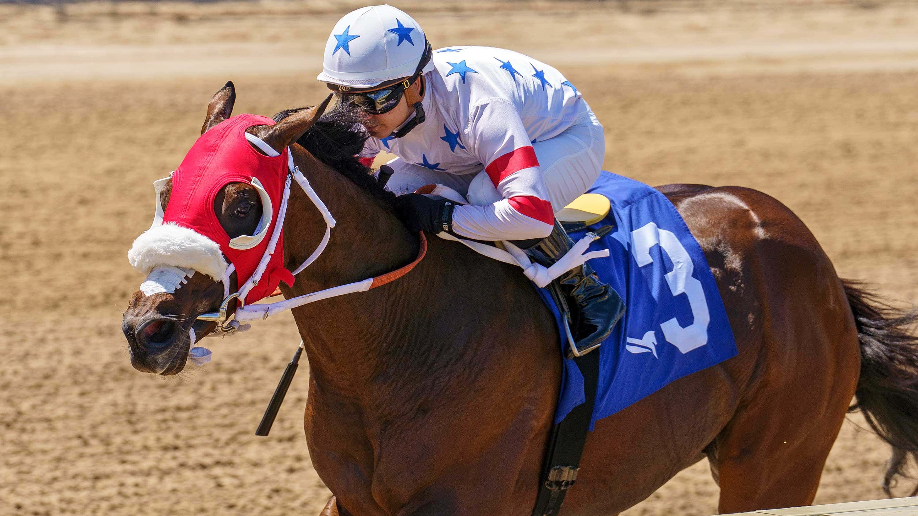 Sum of Success Dominant in $100,000 In Summation