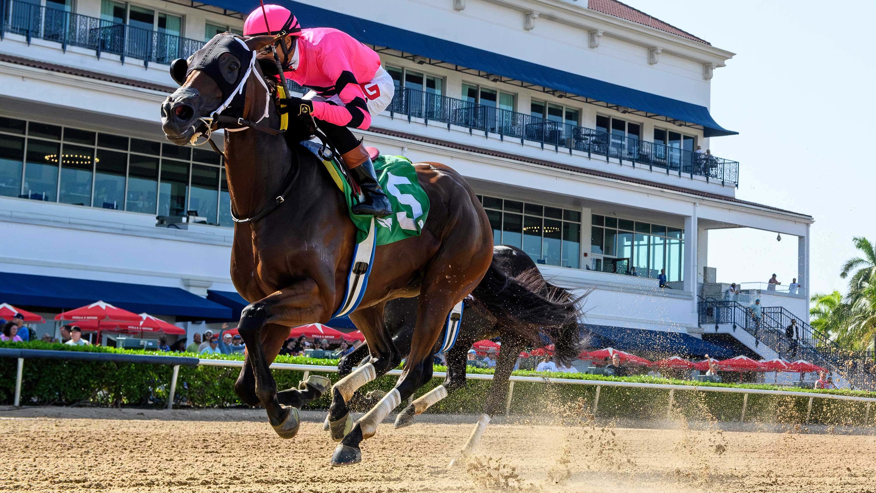 Kerry’s Kiss Extends Win Streak in $100,000 Sheer Drama