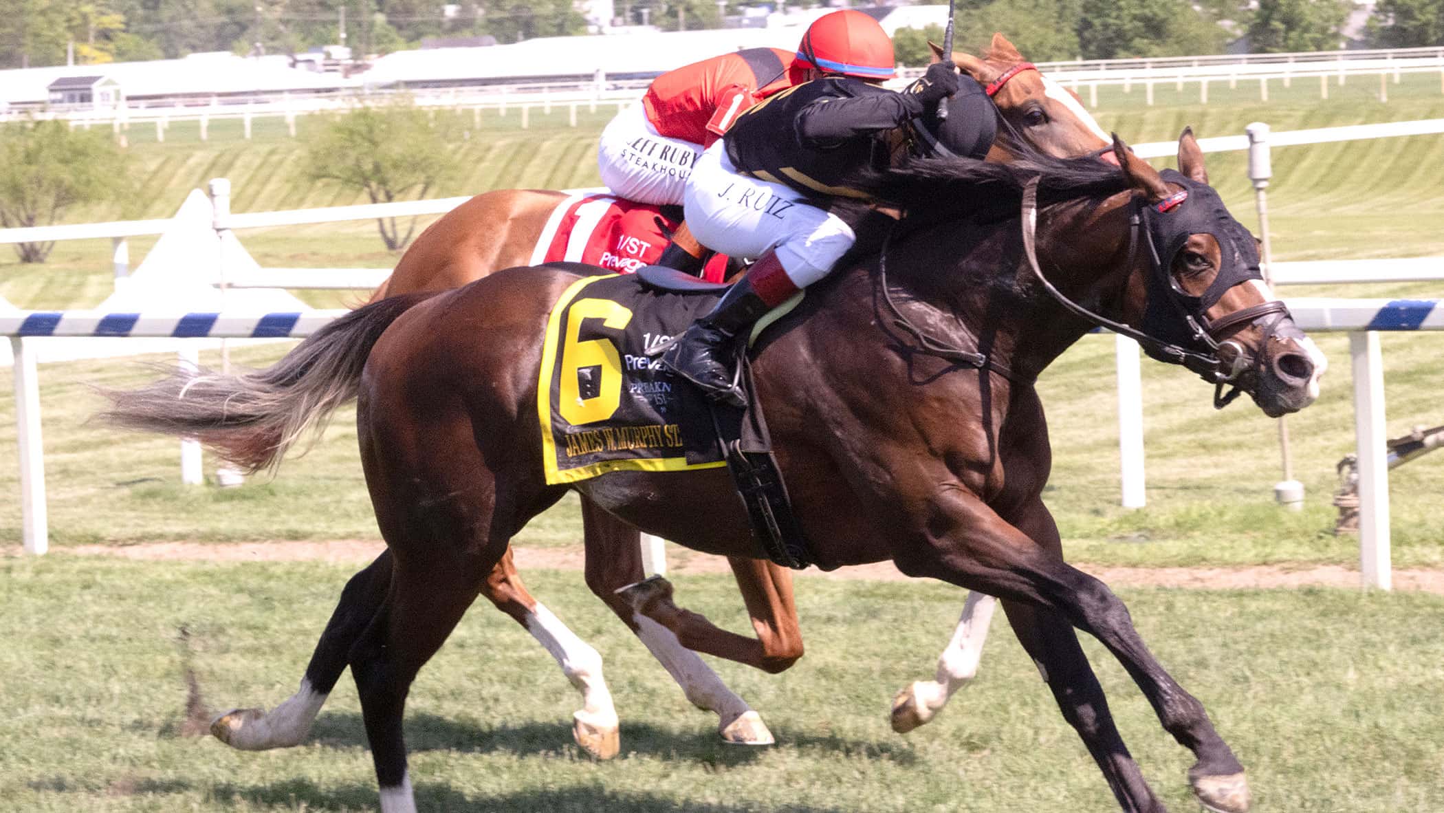 Turf Star Lives Up to His Name in James W. Murphy