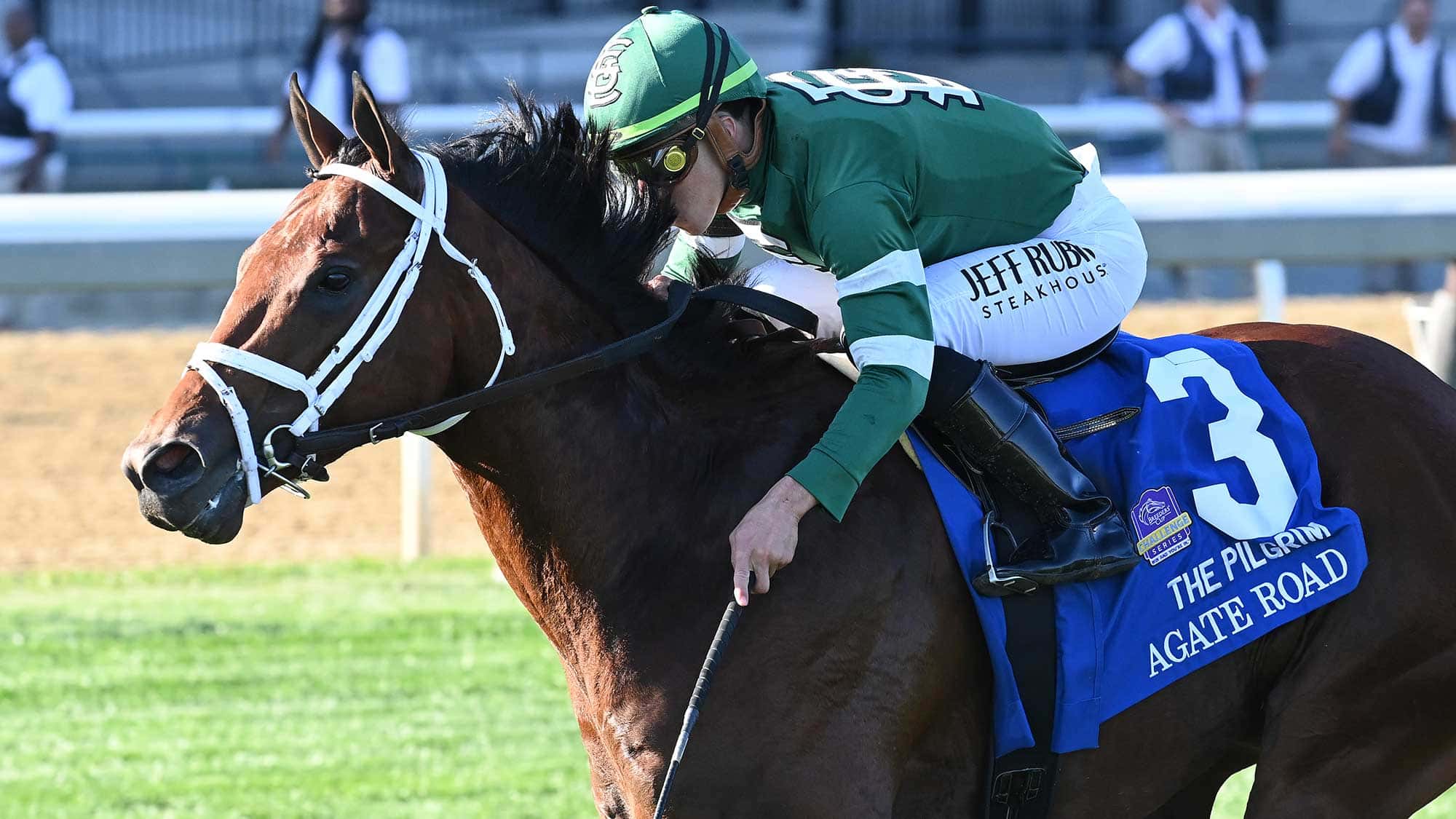 Stakes Winners Agate Road, Noted Top $175,000 Kitten’s Joy (G3)