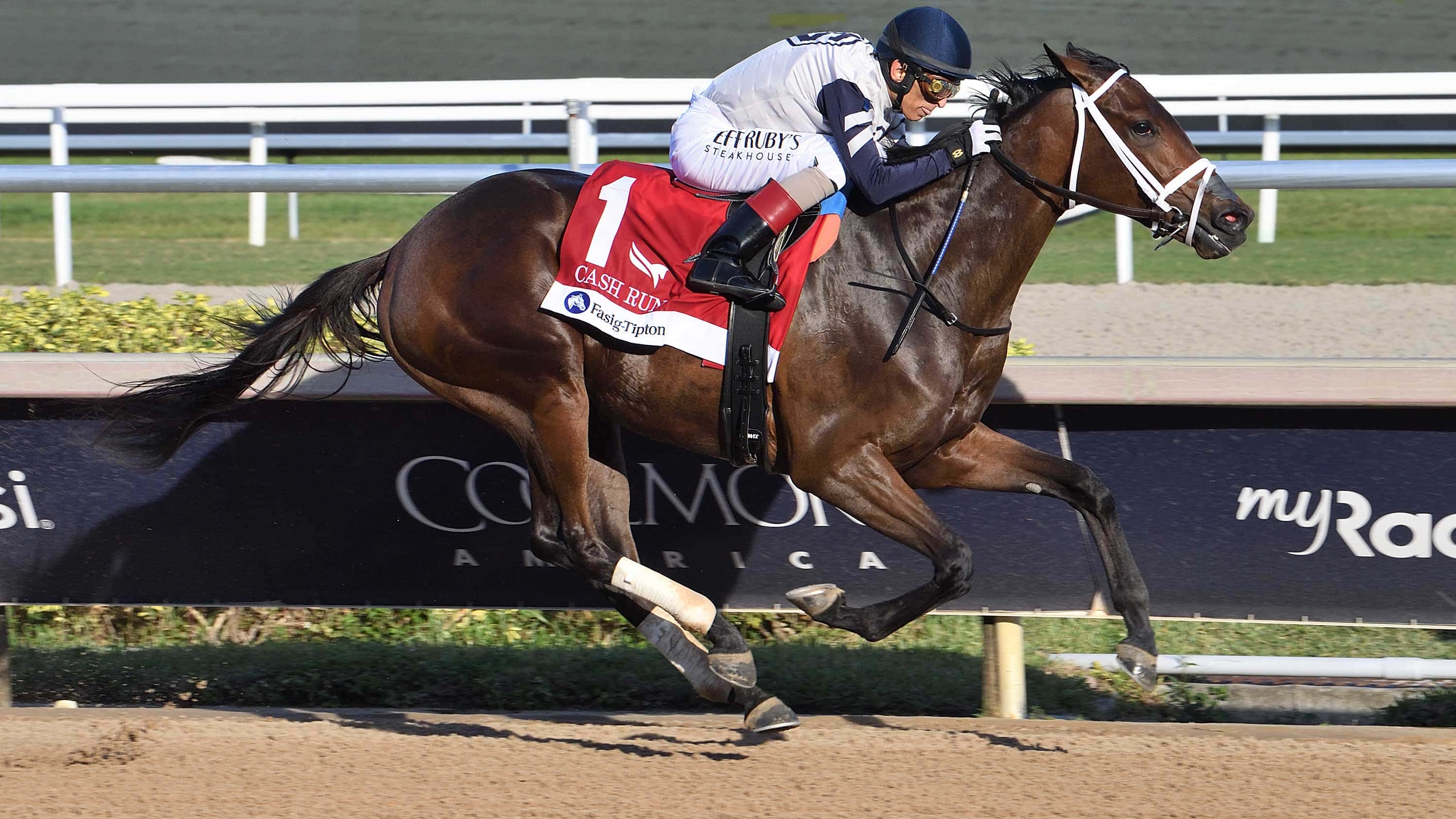 Five-G-the-Cash-Run-2