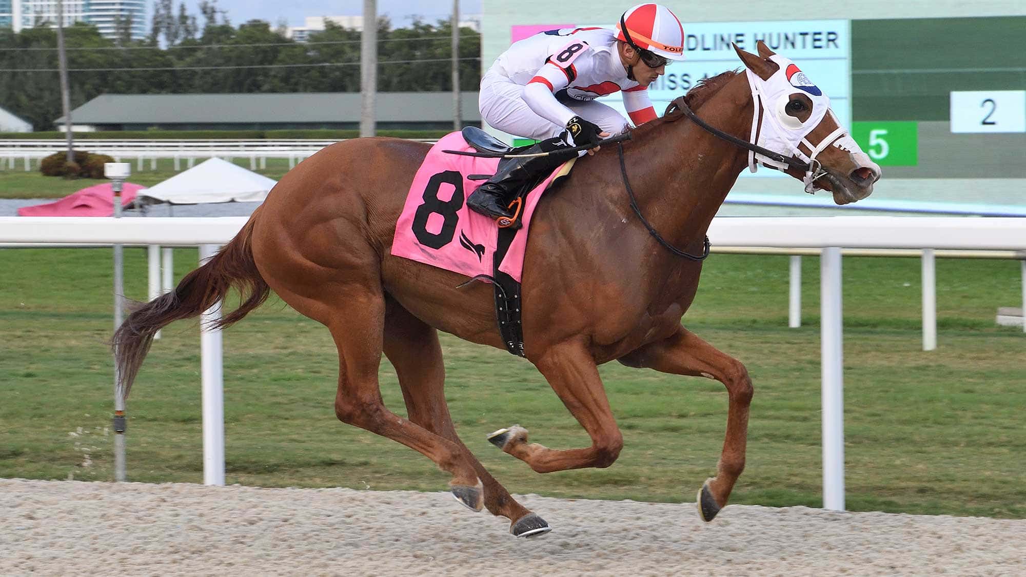 Headline-Hunter-the-Captiva-Island