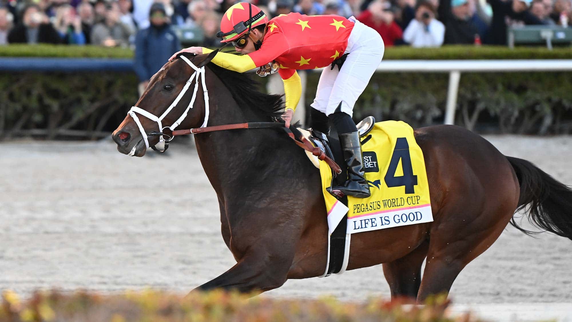 Life-is-Good-the-Pegasus7