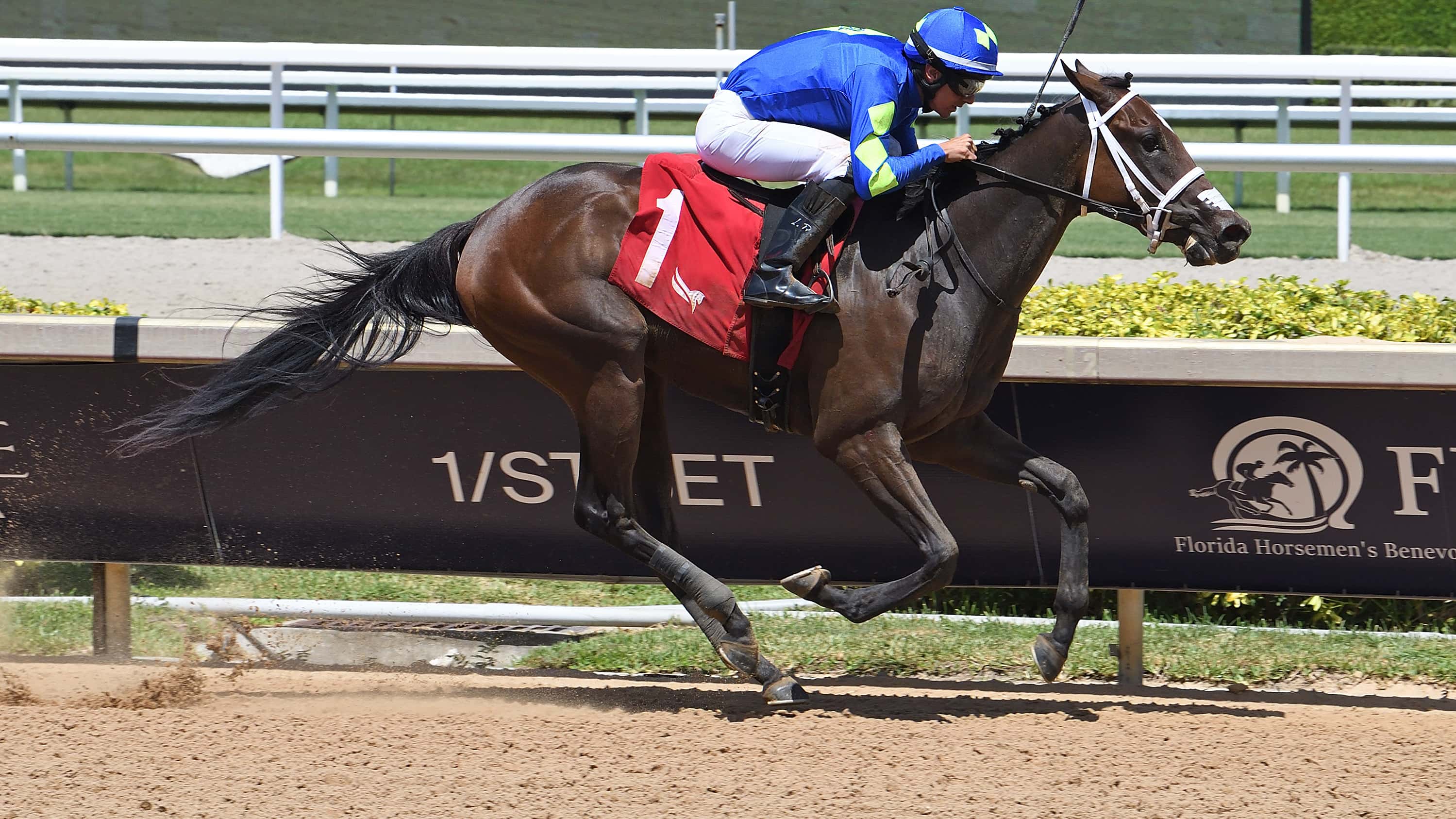 Hot Rod Honey Turns on Afterburners to Win Sharp Susan