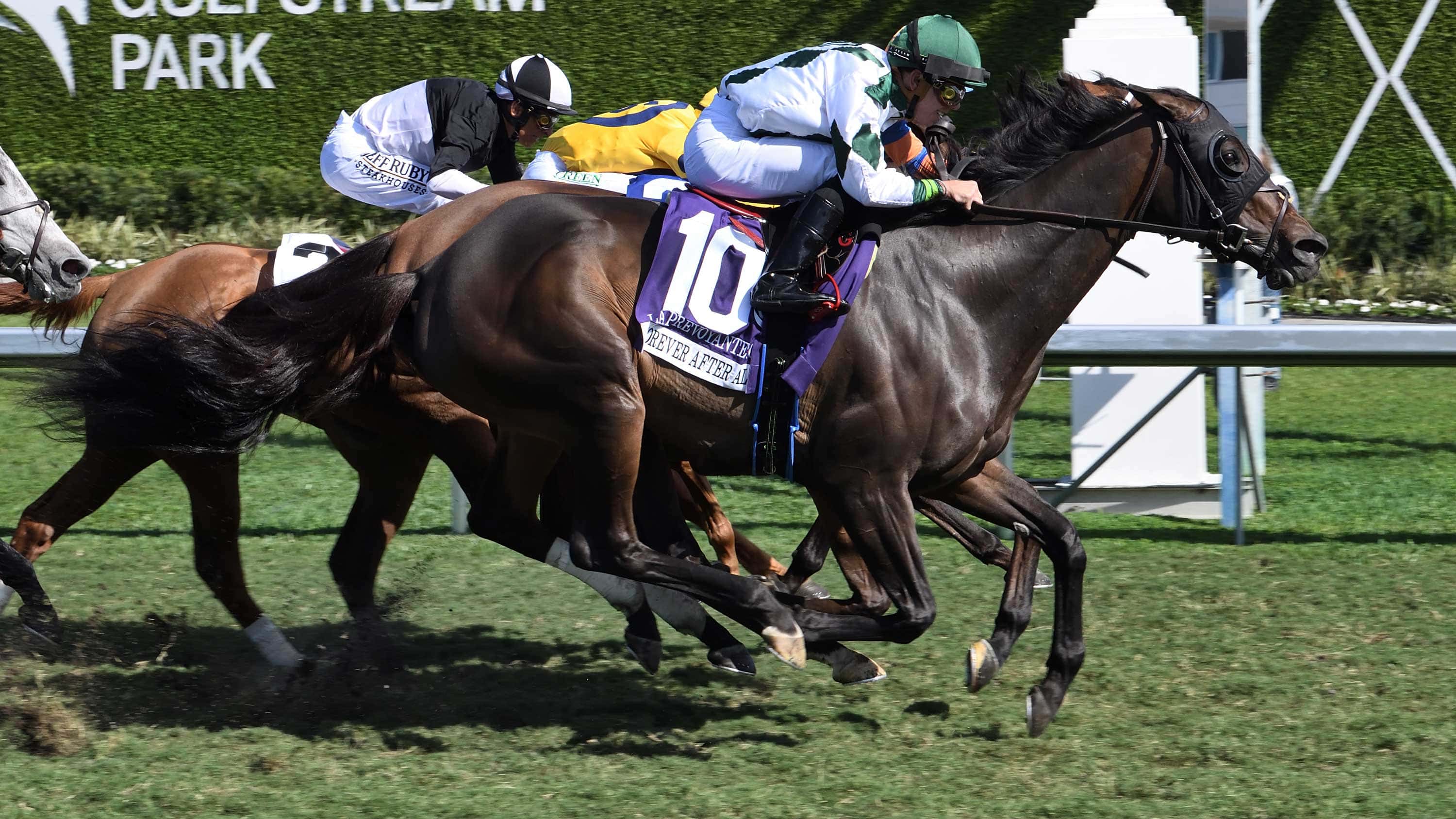 Forever-After-All-the-La-Prevoyante