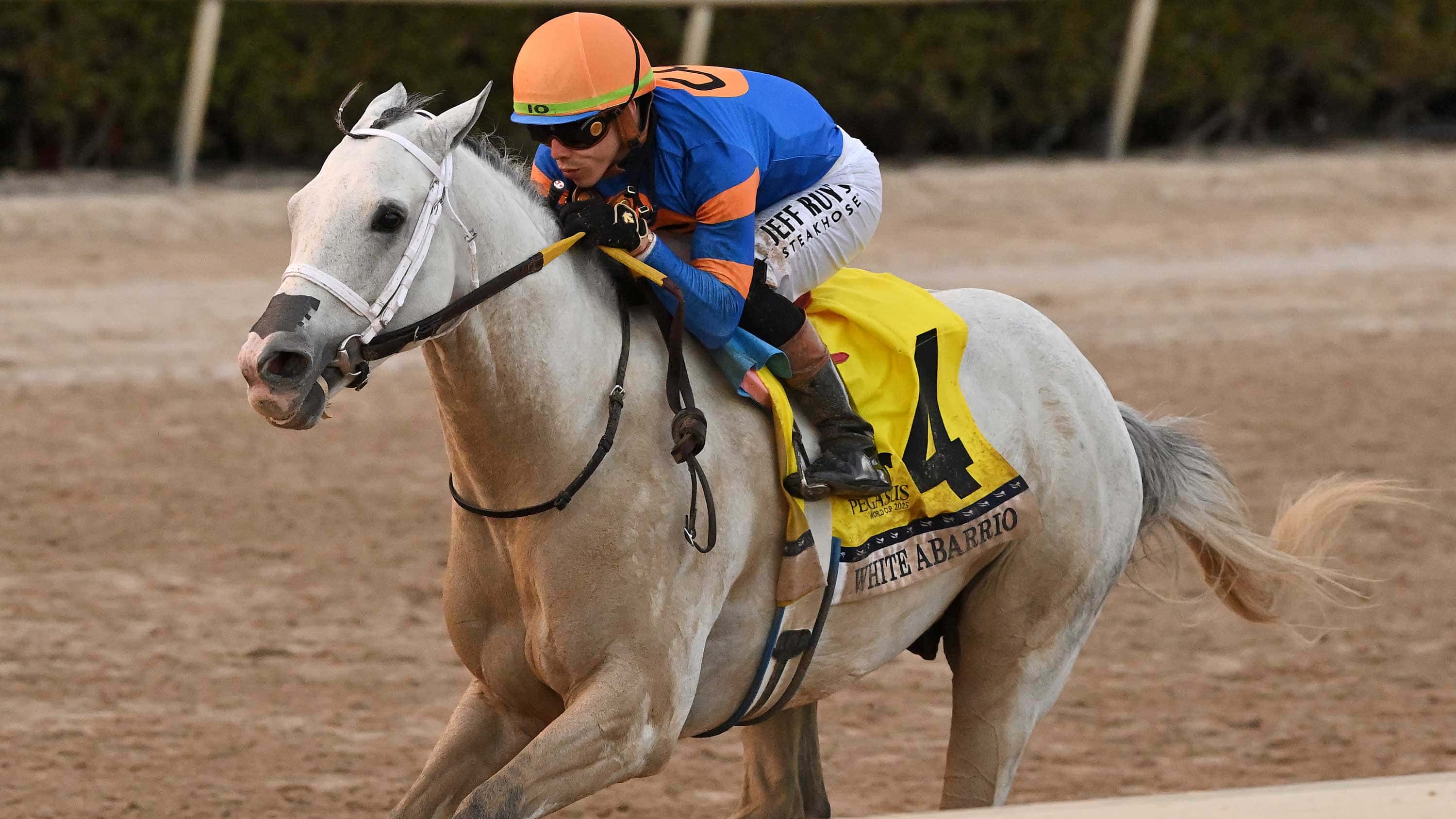White Abarrio Works Sunday for G1 Pegasus World Cup
