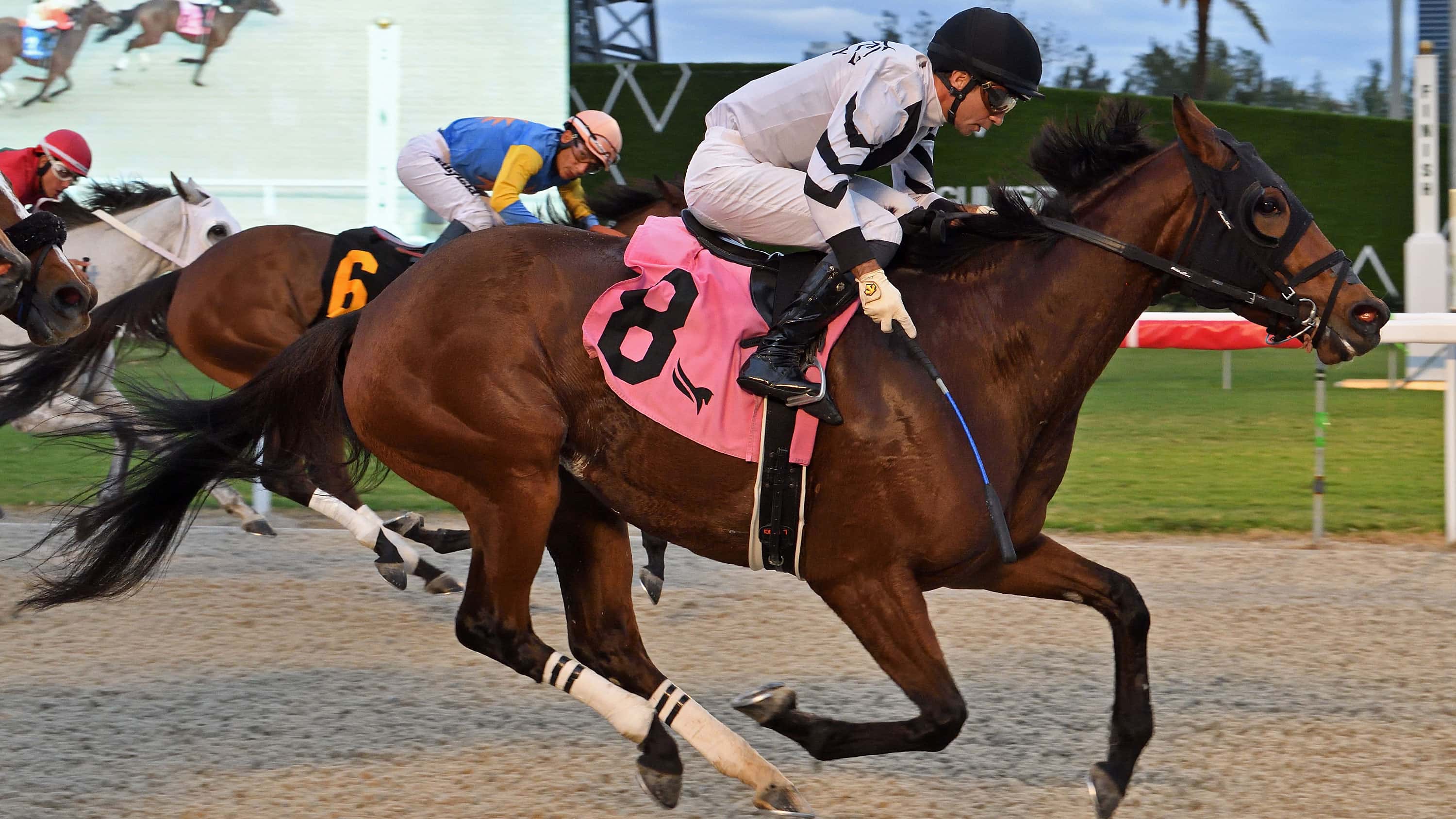 No-Valla-The-Daring-Kathy