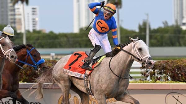 White-abarrio-the-florida-derby