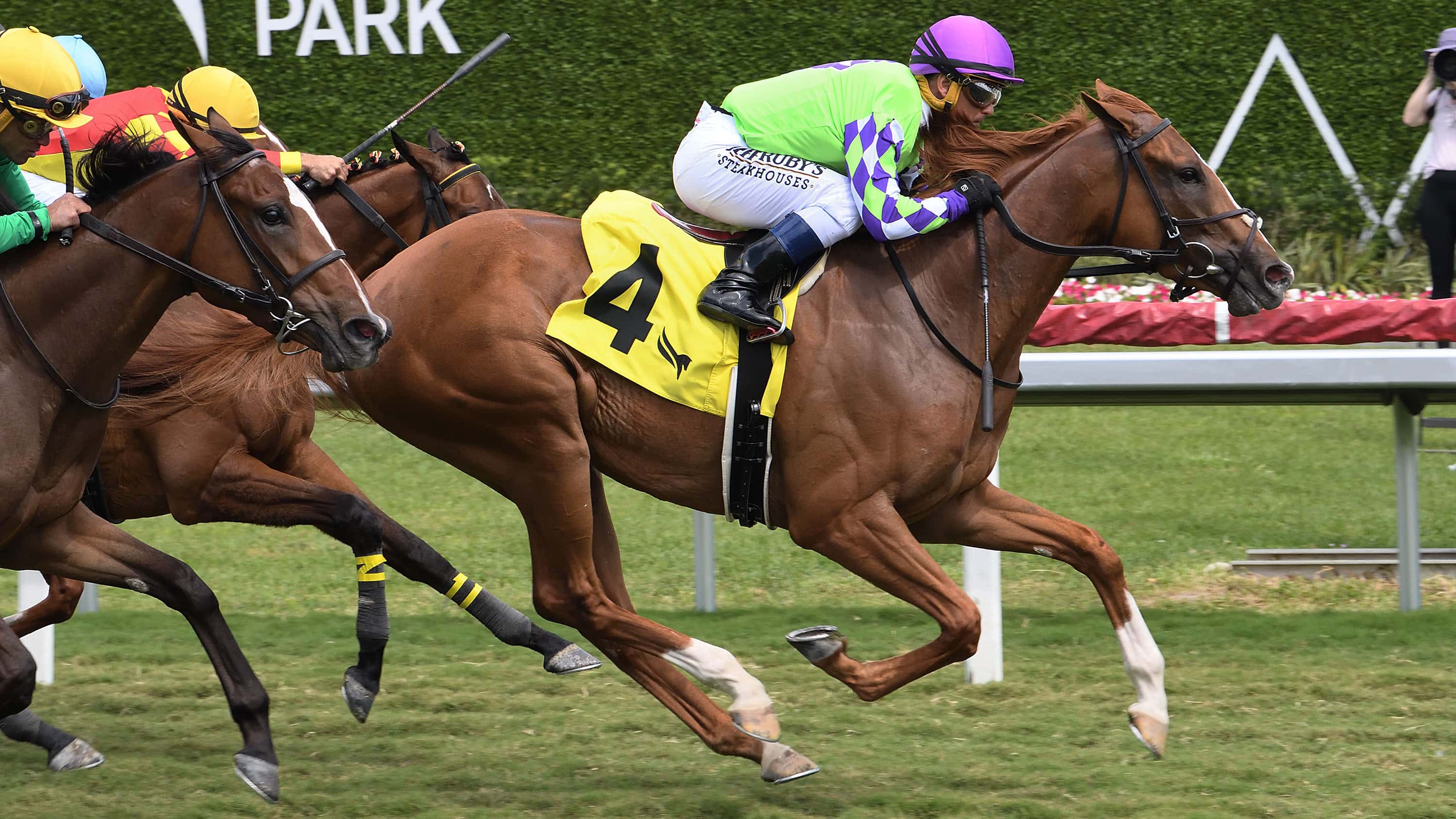 Vive-Veuve-the-Sanibel-Island