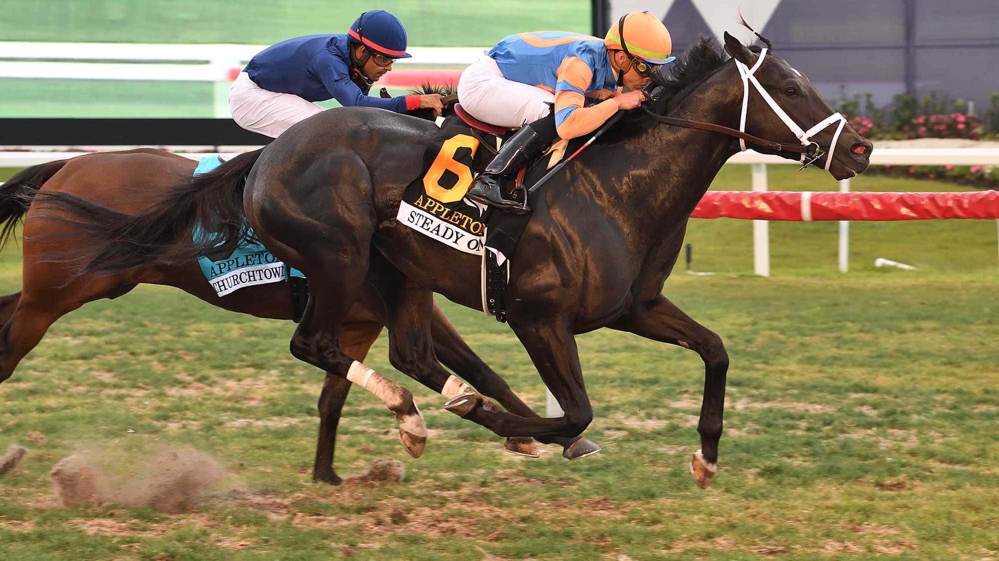 Steady On Grabs First Stakes Victory in $150,000 Appleton