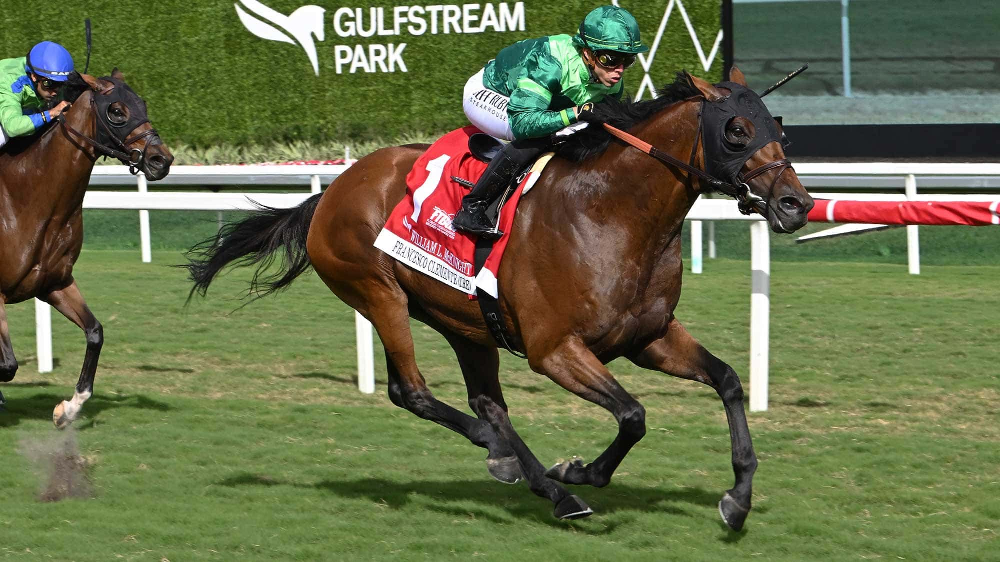 Francesco-Clemente-the-W-L-McKnight