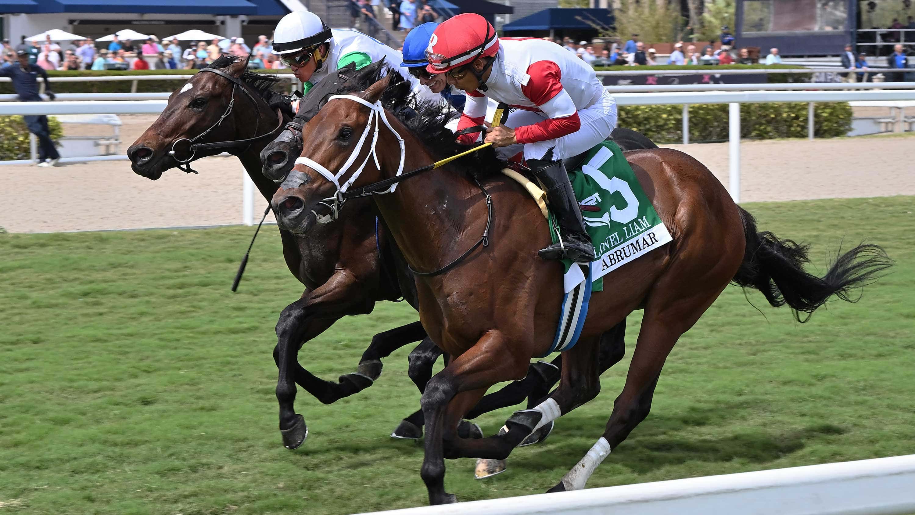 Abrumar-the-Colonel-Liam